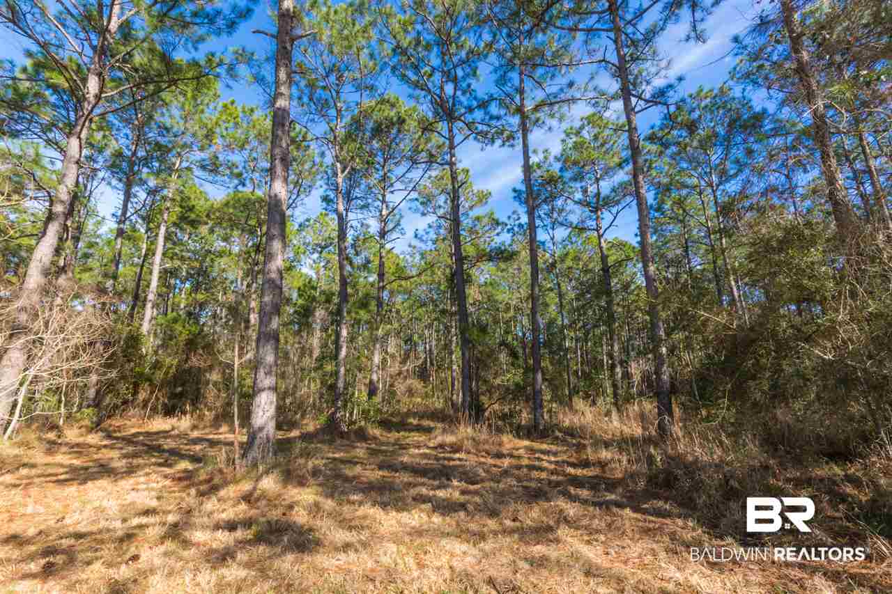21801 County Road 28 Foley, AL 36535 - Photo 27 of 41