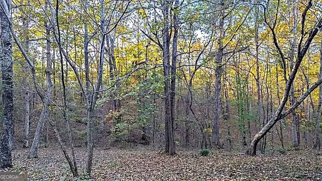 $115,000 | 3091 Tribble Road, Fort Valley, GA 31030