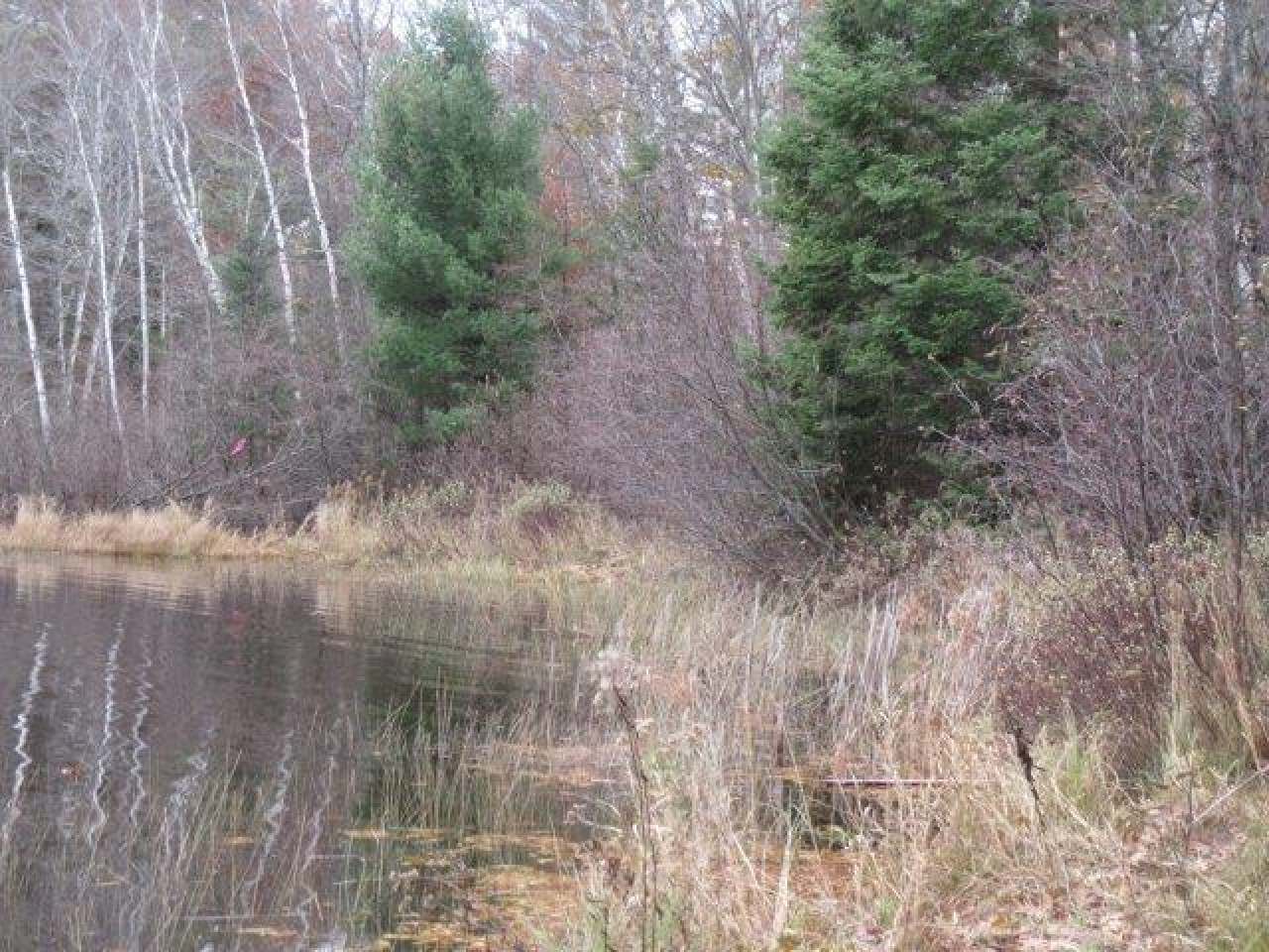 On Cir Lily Road, Unit LOT 3 Manitowish Waters, WI 54545 - Photo 2 of 6 Gallery Image 2