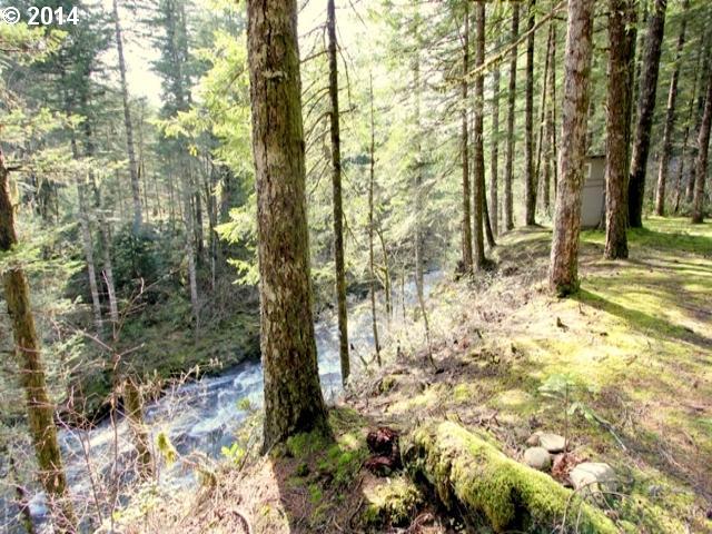 38217 Northeast Sunset Falls Road Yacolt, WA 98675 - Photo 5 of 16 Gallery Image 5
