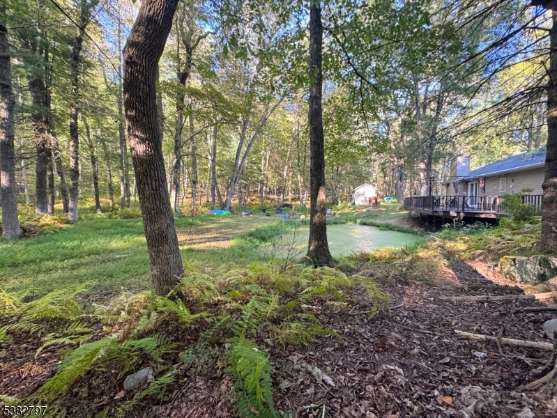11 Hirams Grove Road Branchville, NJ 07826 - Photo 42 of 50 a view of backyard with tree