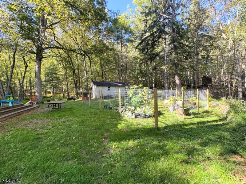 11 Hirams Grove Road Branchville, NJ 07826 - Photo 44 of 50 a view of a park with large trees