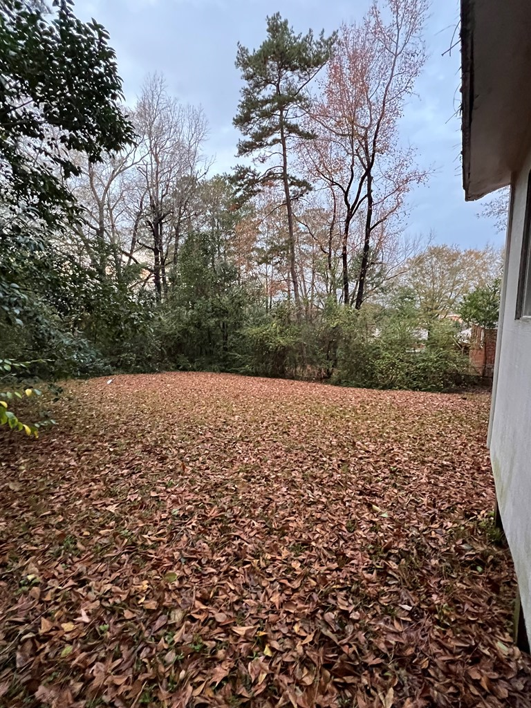 125 Torch Hill Road Columbus, GA 31903 - Photo 11 of 11 Backyard