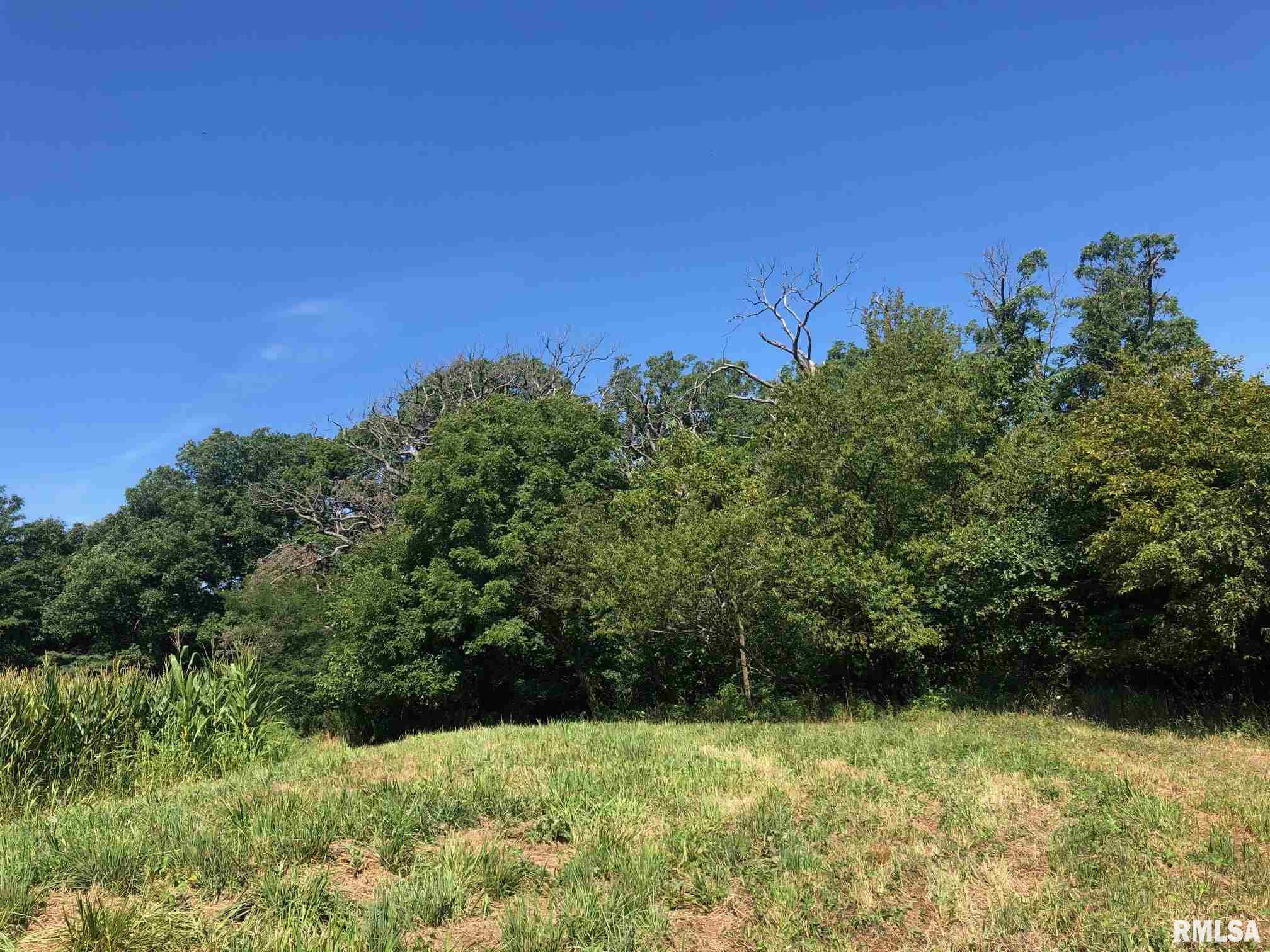 0 North Windish Road Elmwood, IL 61529 - Photo 10 of 12