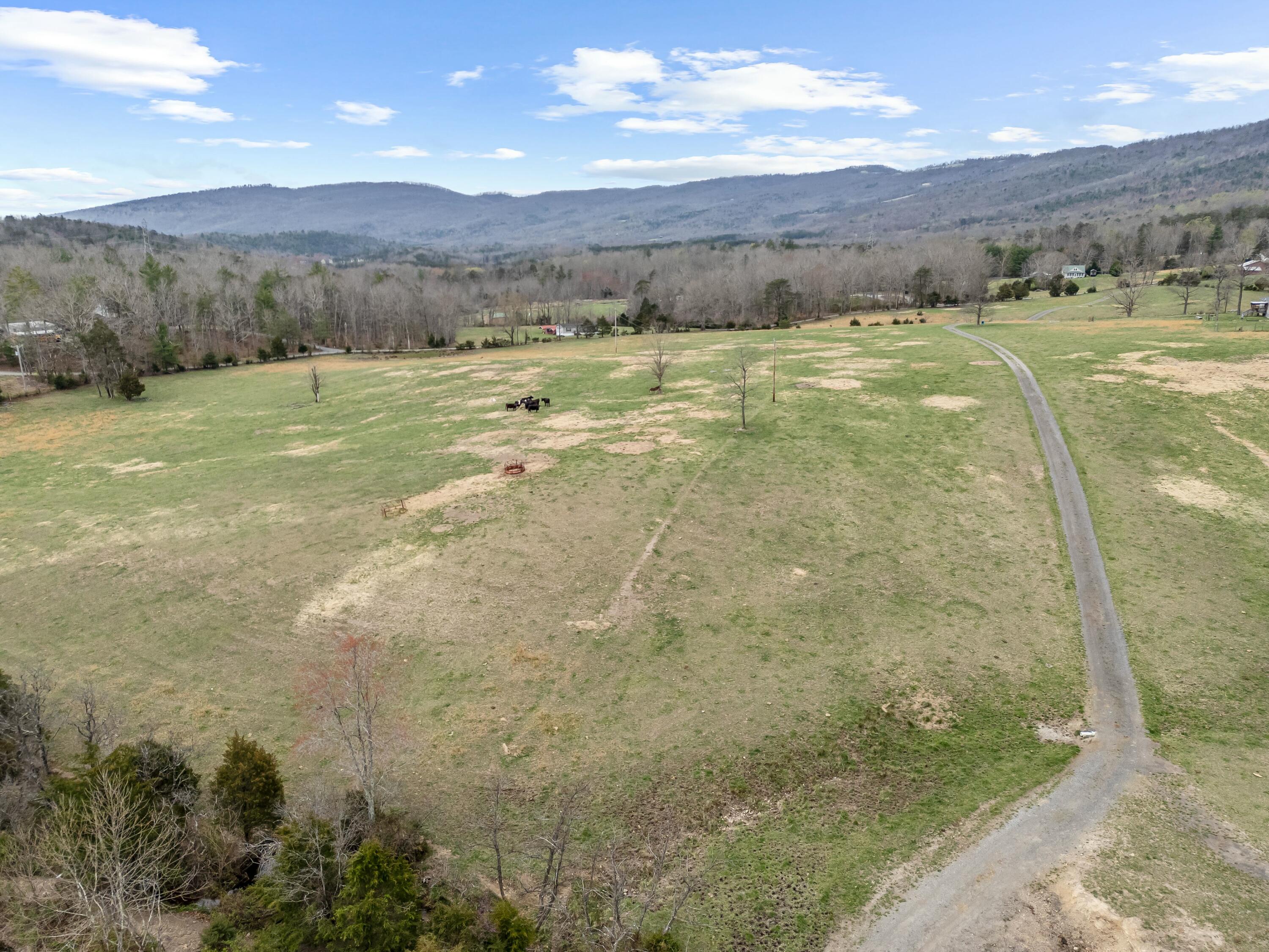 3588 Flatwoods Road Elliston, VA 24087 - Photo 105 of 119 tempImageyN4LIG