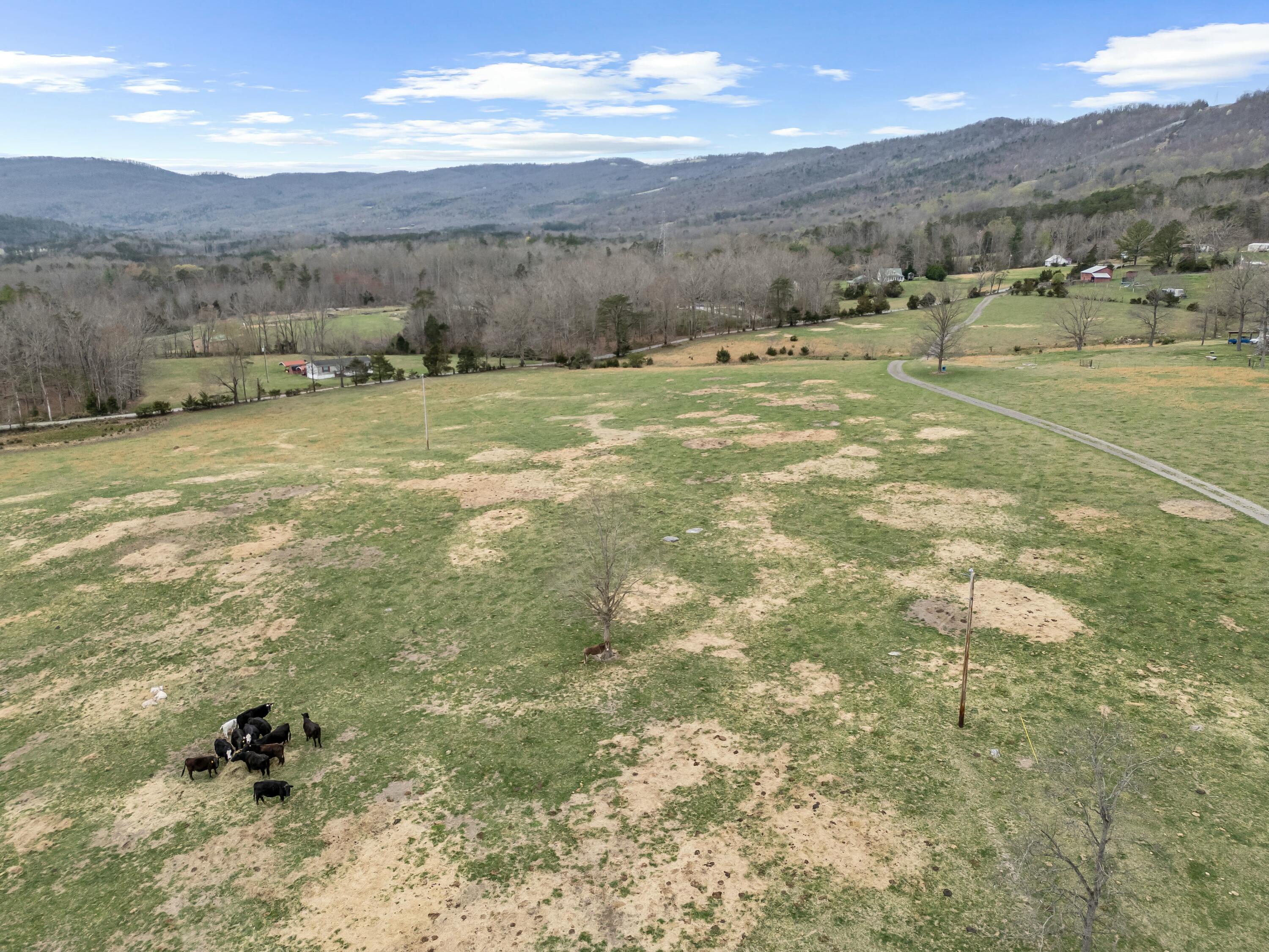 3588 Flatwoods Road Elliston, VA 24087 - Photo 106 of 119 a view of an outdoor space and mountain view