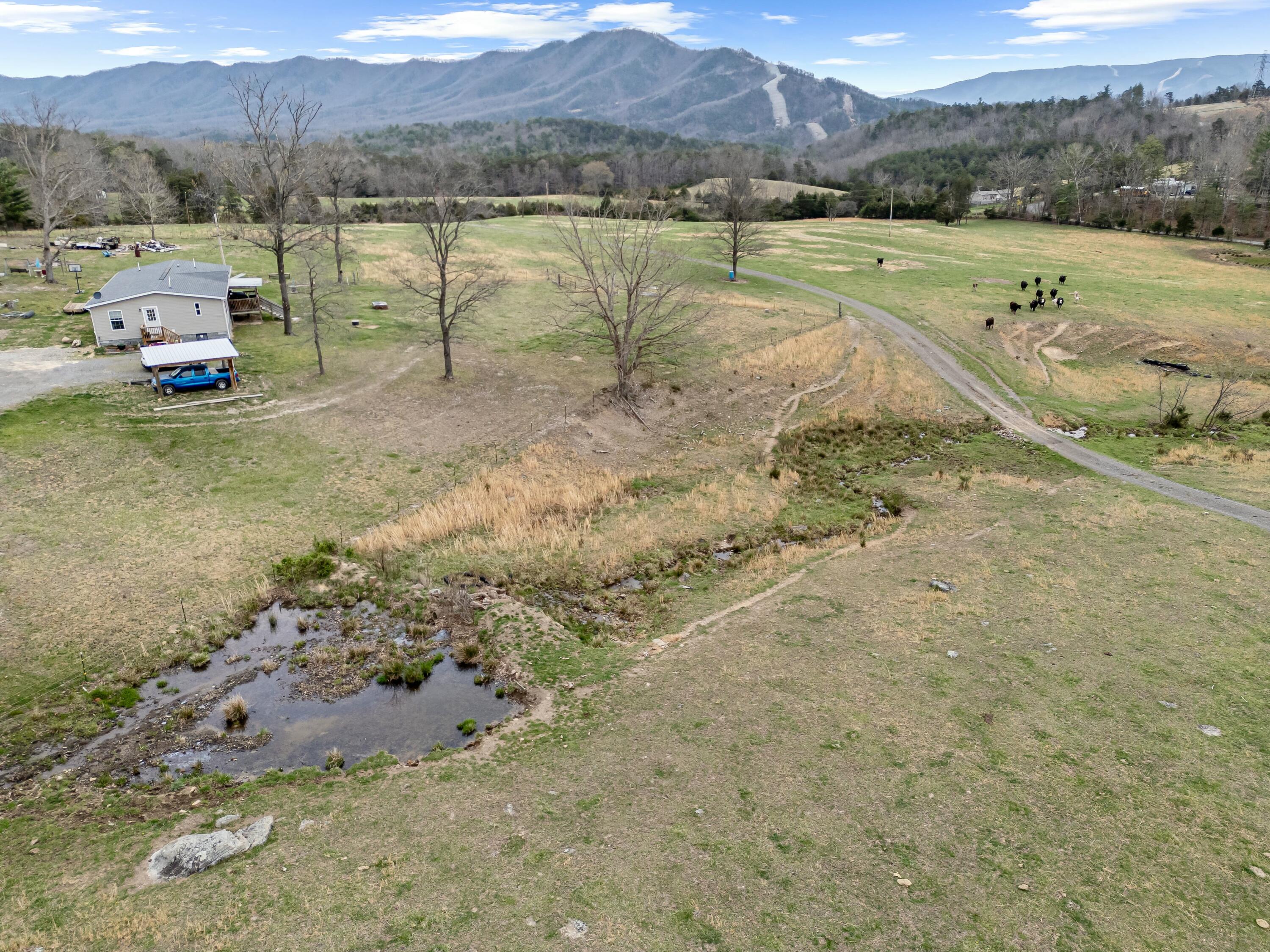 3588 Flatwoods Road Elliston, VA 24087 - Photo 115 of 119 tempImageWsF3lu