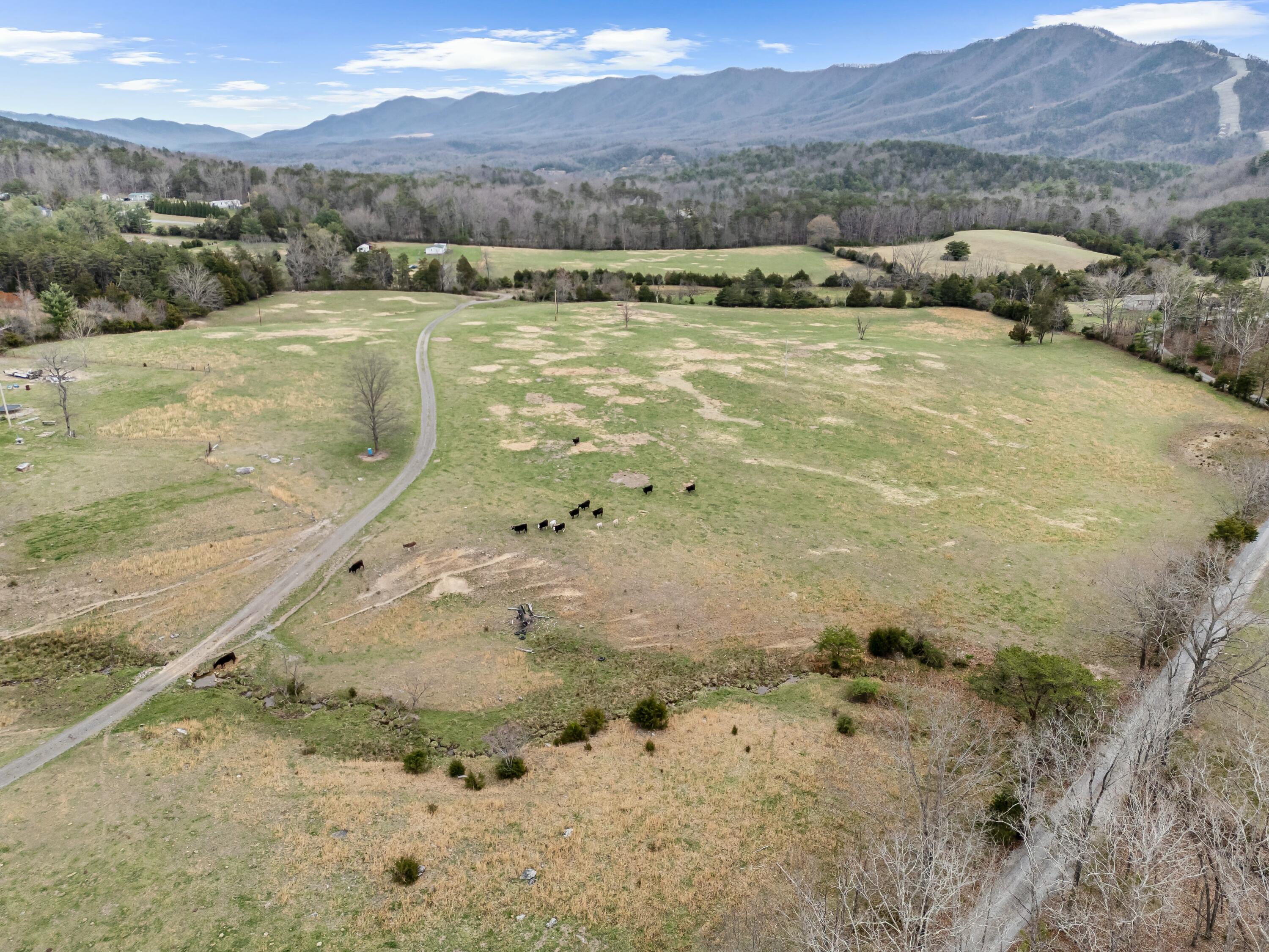 3588 Flatwoods Road Elliston, VA 24087 - Photo 3 of 119 tempImageVYRIRO