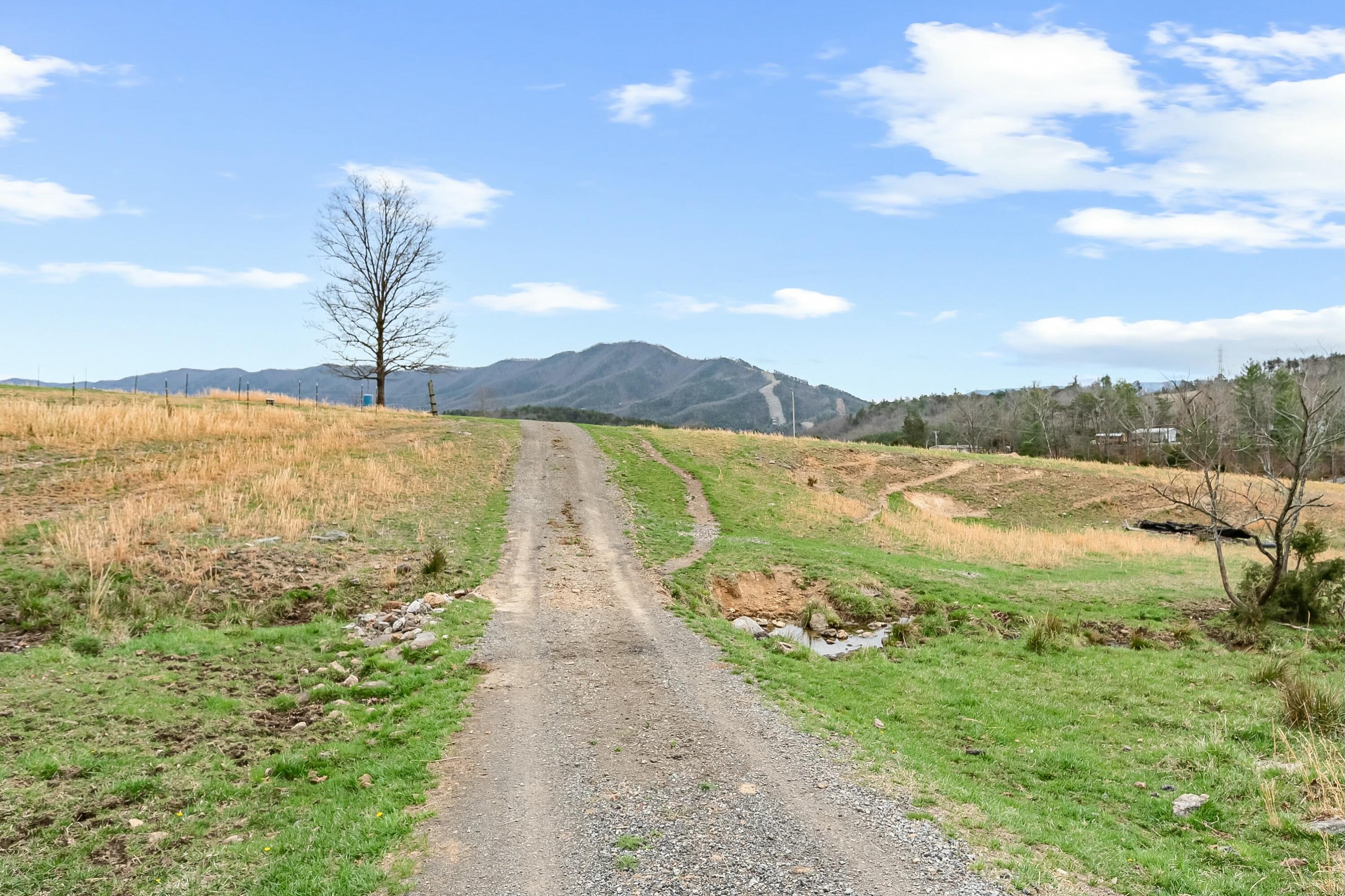 3588 Flatwoods Road Elliston, VA 24087 - Photo 52 of 119 a view of an ocean from a yard