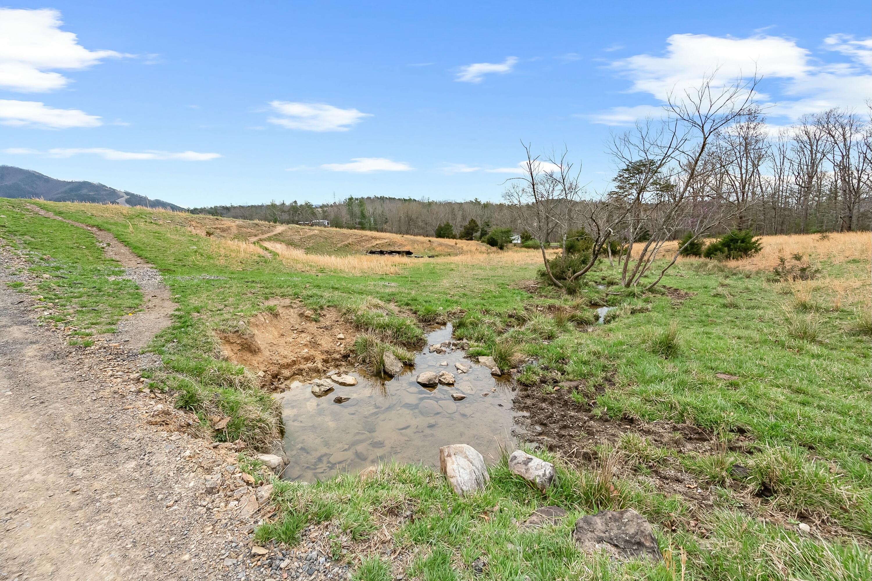 3588 Flatwoods Road Elliston, VA 24087 - Photo 53 of 119 a view of a lake with mountains in the background