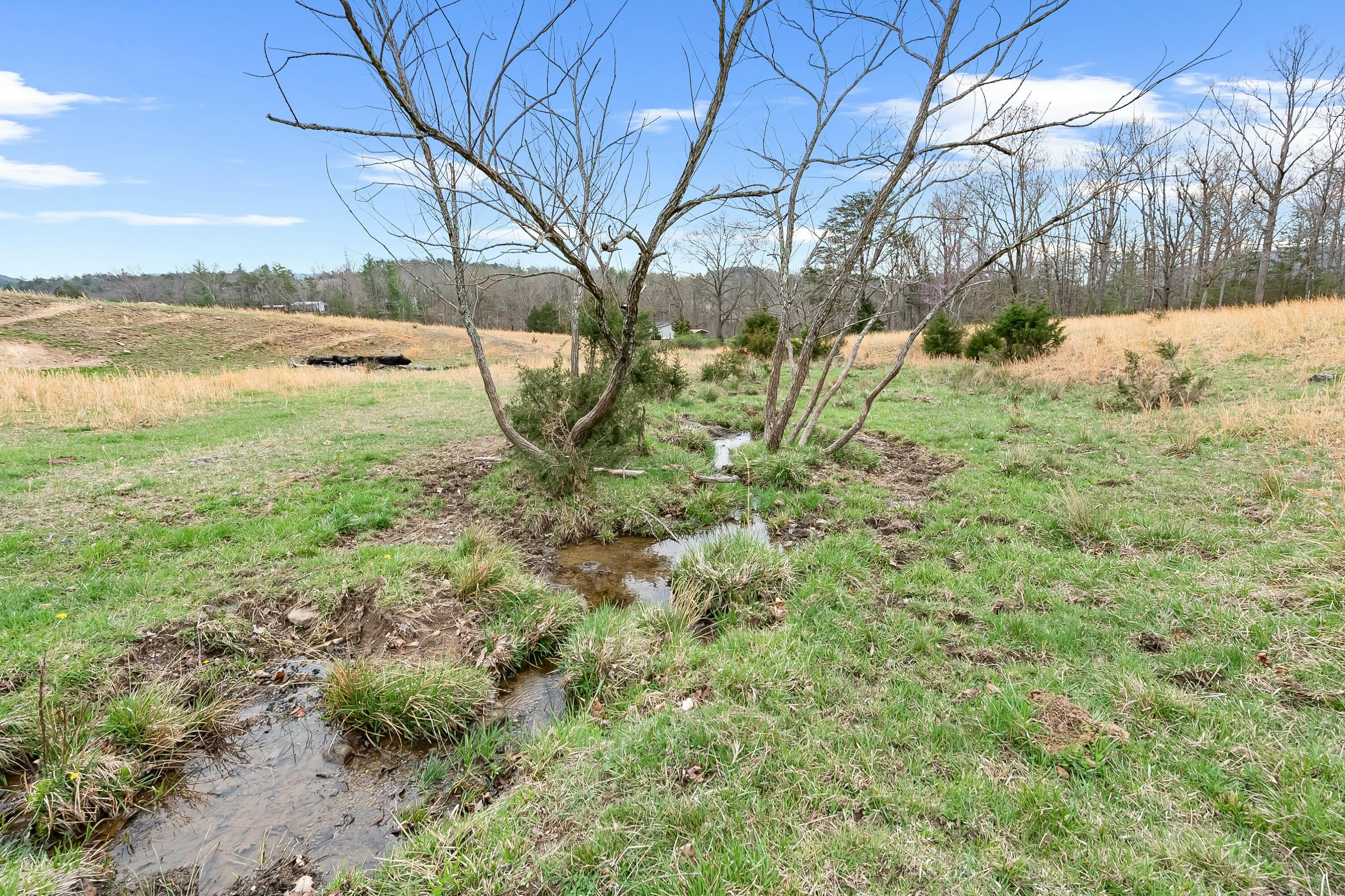 3588 Flatwoods Road Elliston, VA 24087 - Photo 54 of 119 tempImagey3bQmS