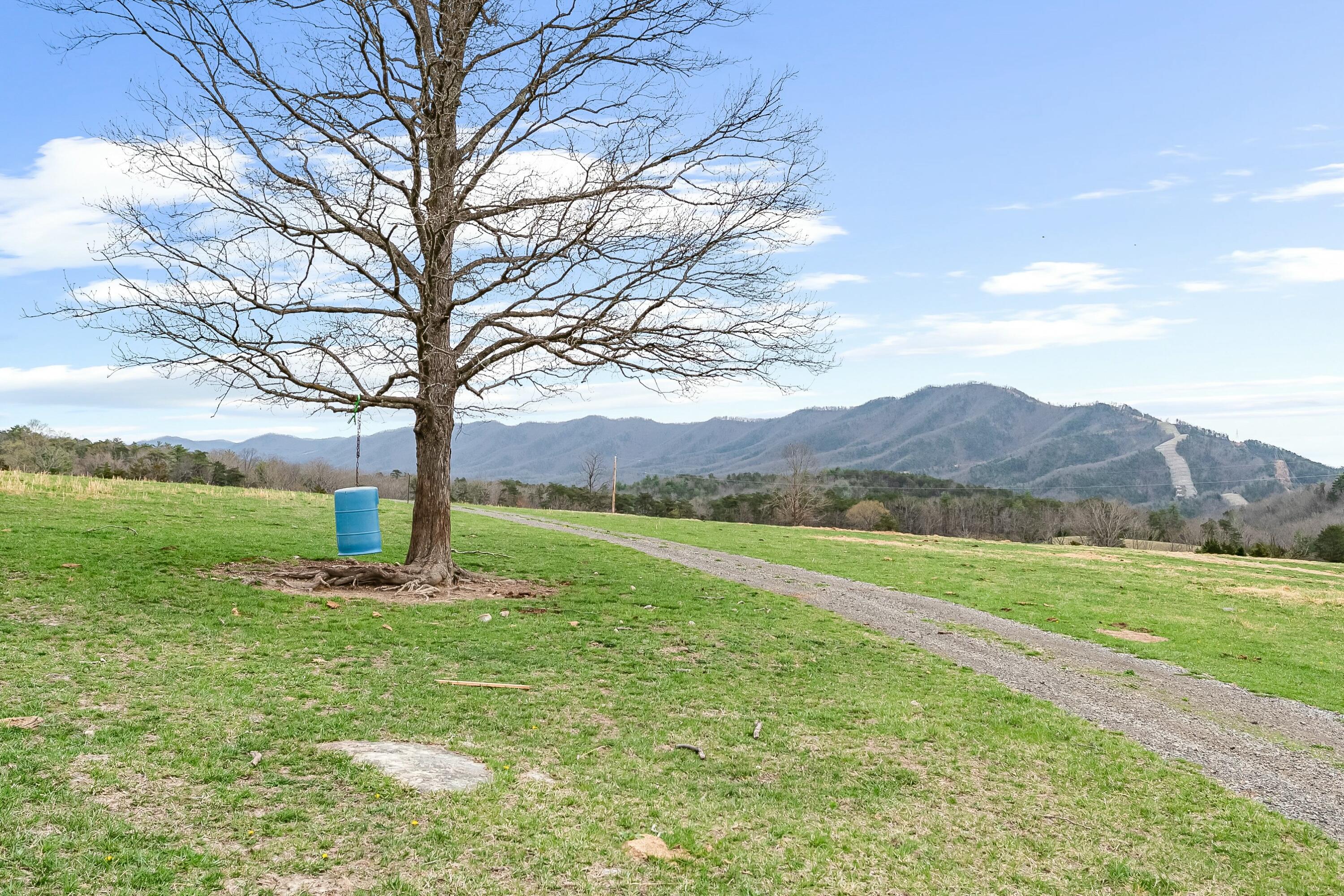 3588 Flatwoods Road Elliston, VA 24087 - Photo 57 of 119 a view of an outdoor space and a yard