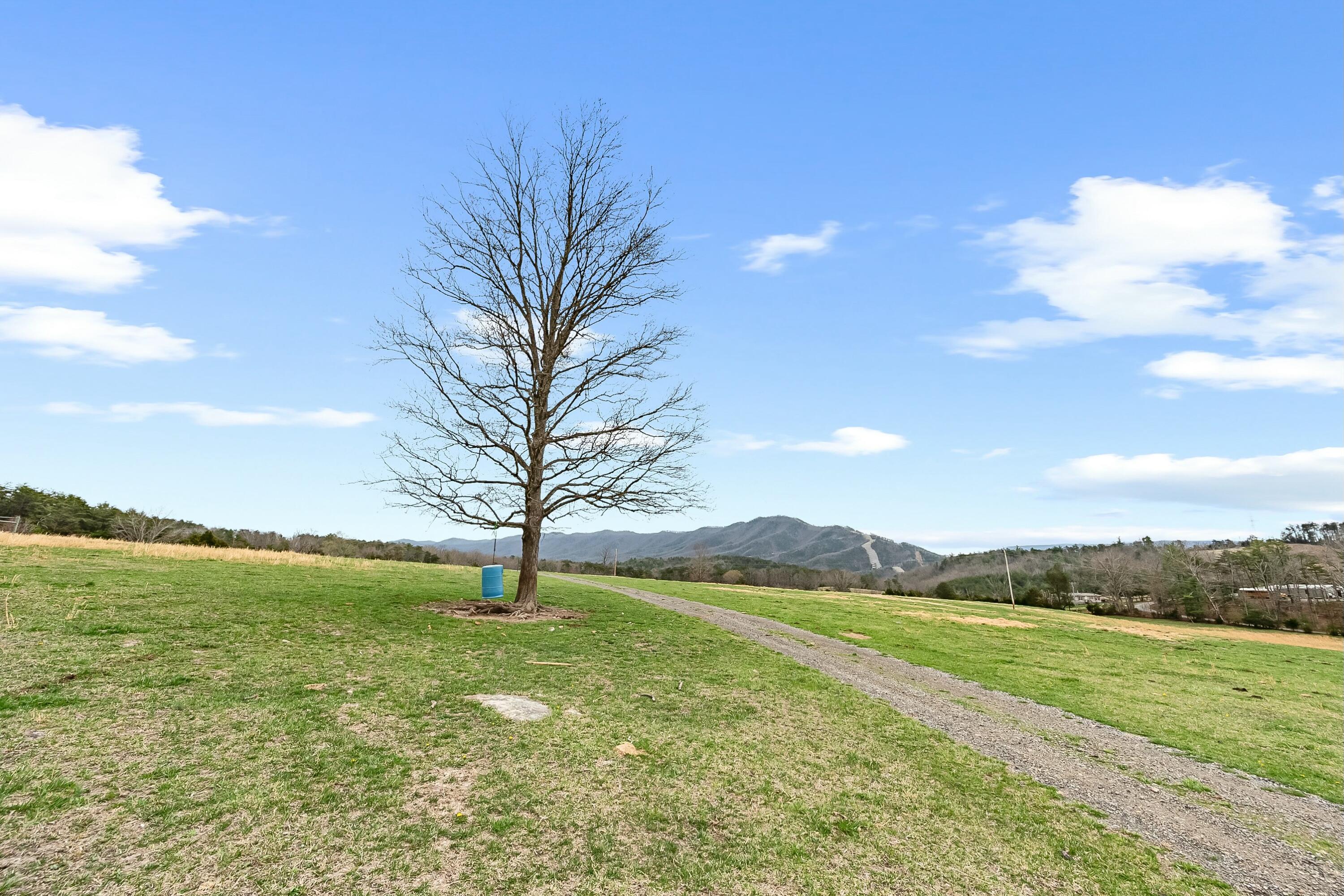 3588 Flatwoods Road Elliston, VA 24087 - Photo 58 of 119 tempImagecT2H76