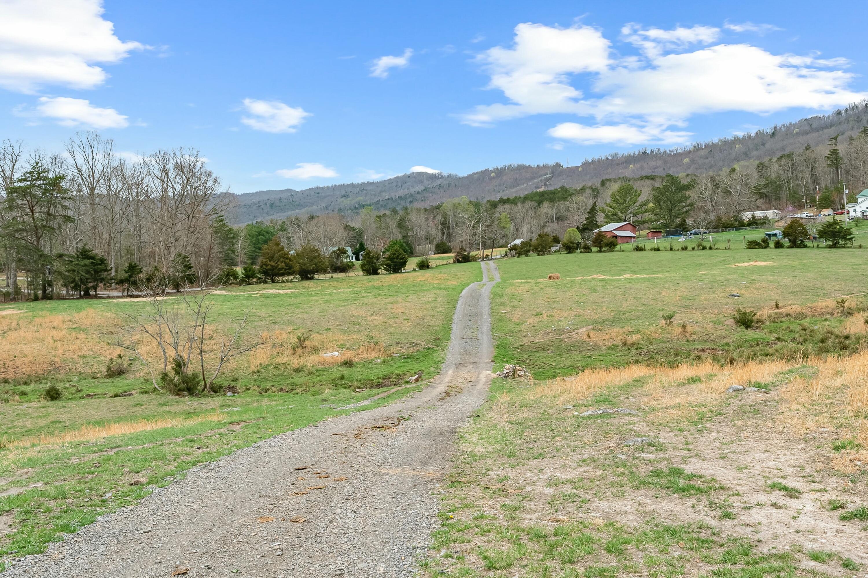 3588 Flatwoods Road Elliston, VA 24087 - Photo 61 of 119 a view of a field with an trees