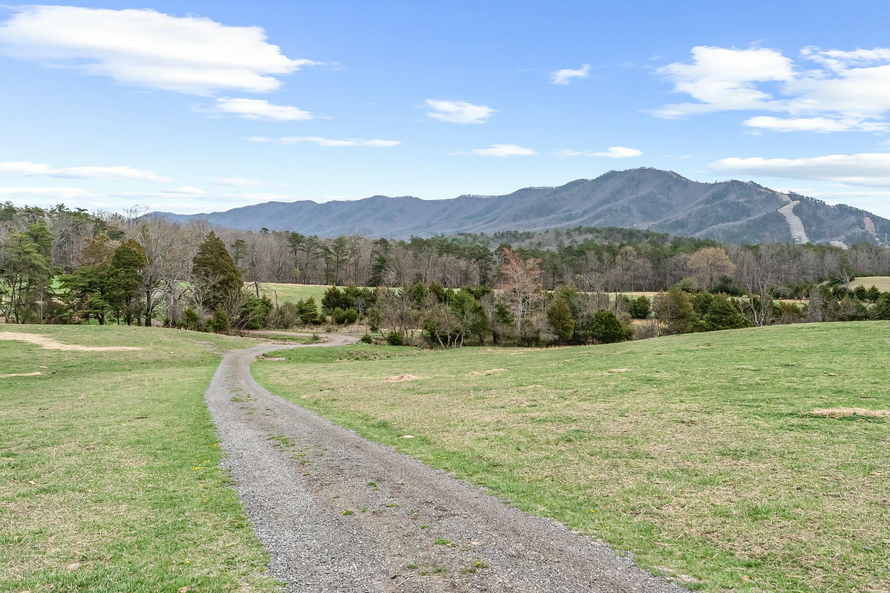 3588 Flatwoods Road Elliston, VA 24087 - Photo 64 of 119 tempImageOOLjj4