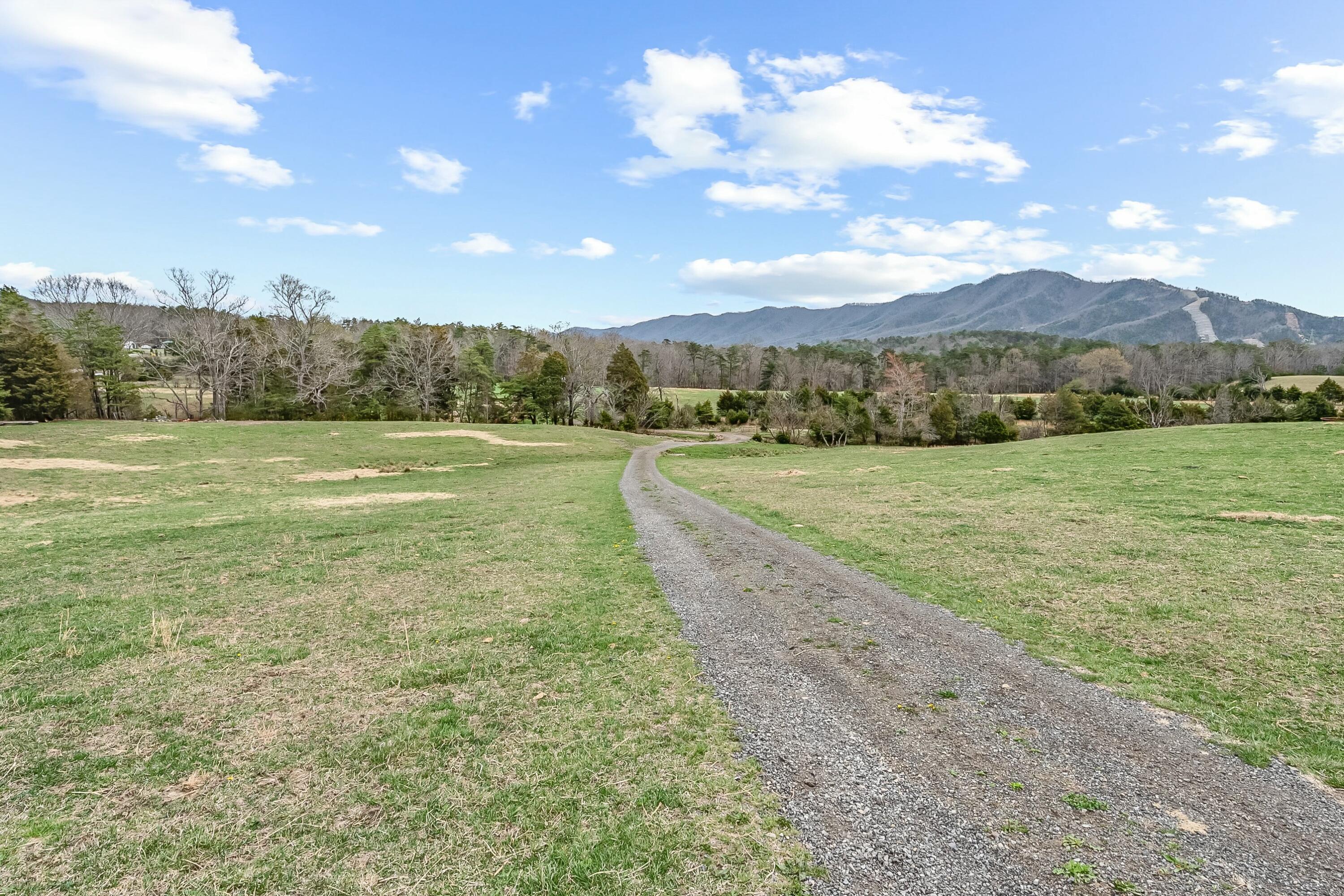 3588 Flatwoods Road Elliston, VA 24087 - Photo 65 of 119 a view of a field with an ocean