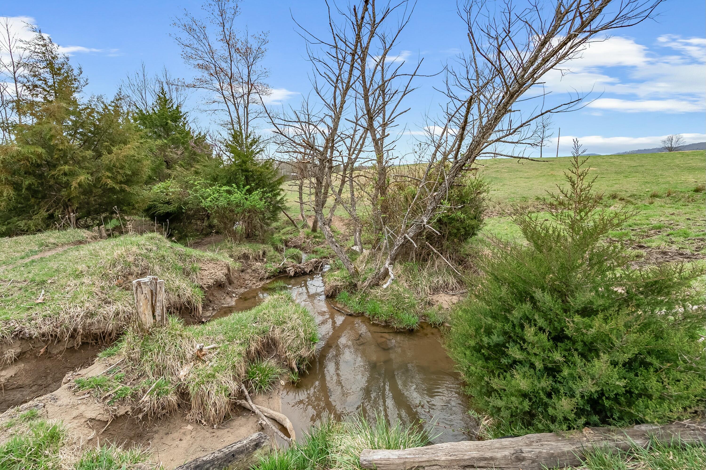 3588 Flatwoods Road Elliston, VA 24087 - Photo 66 of 119 tempImagerbbBaf