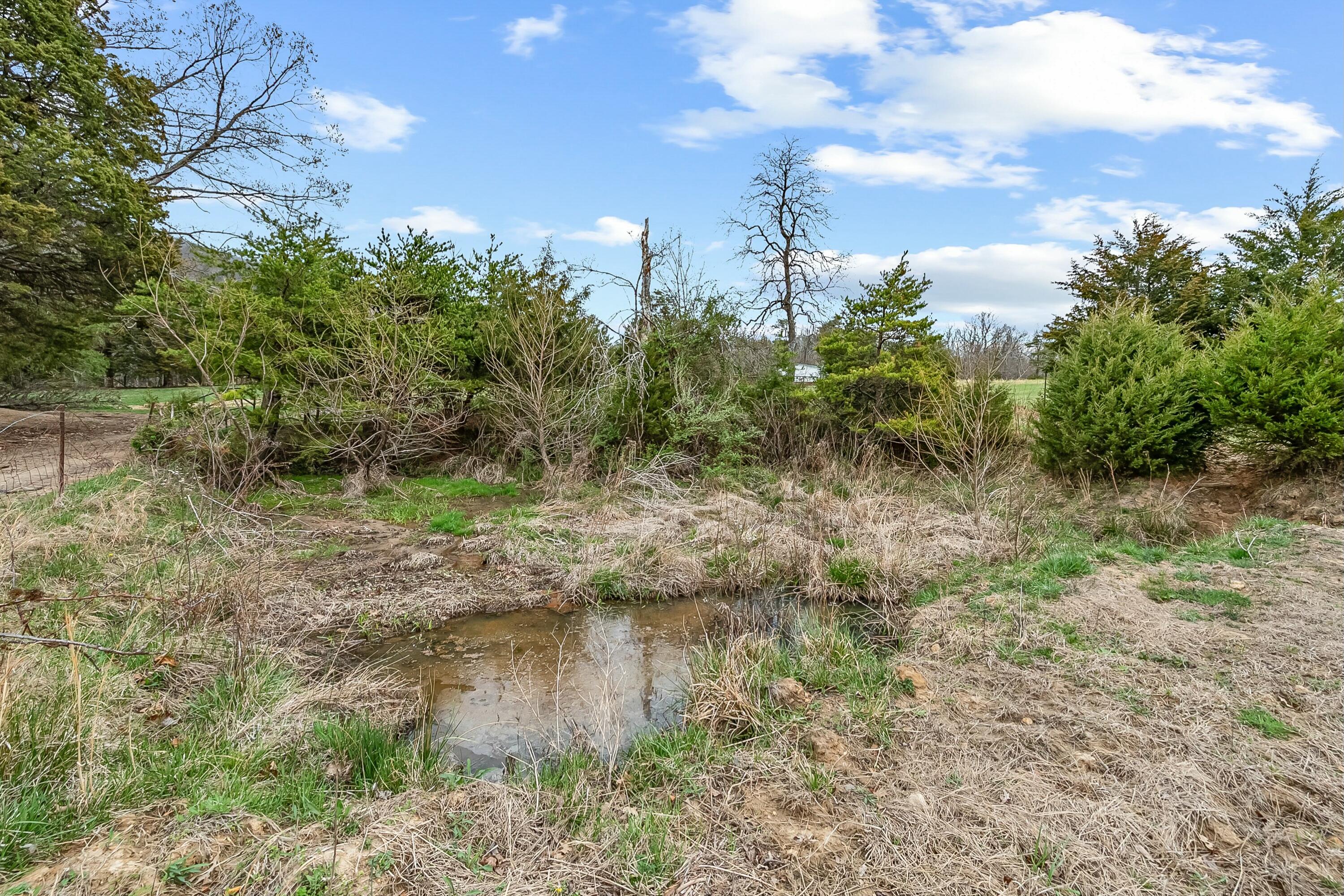 3588 Flatwoods Road Elliston, VA 24087 - Photo 69 of 119 a view of a lake with green space