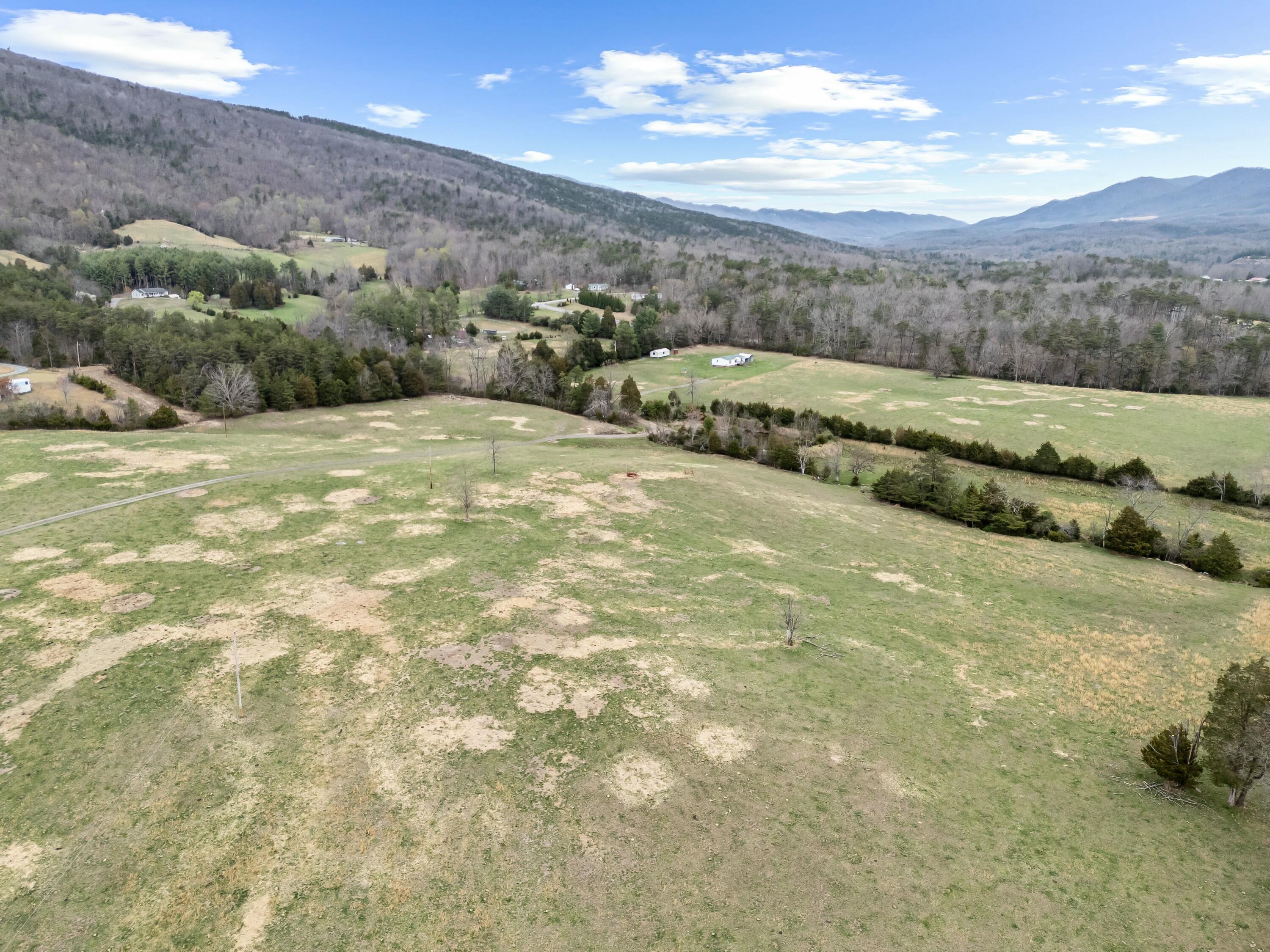 3588 Flatwoods Road Elliston, VA 24087 - Photo 7 of 119 tempImage7PdZmi