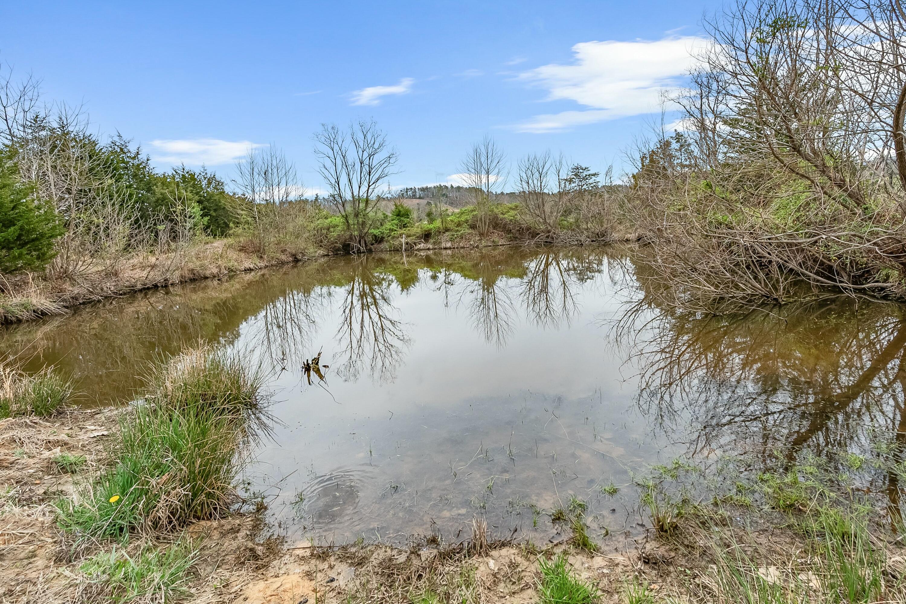3588 Flatwoods Road Elliston, VA 24087 - Photo 71 of 119 tempImagezAg0tu