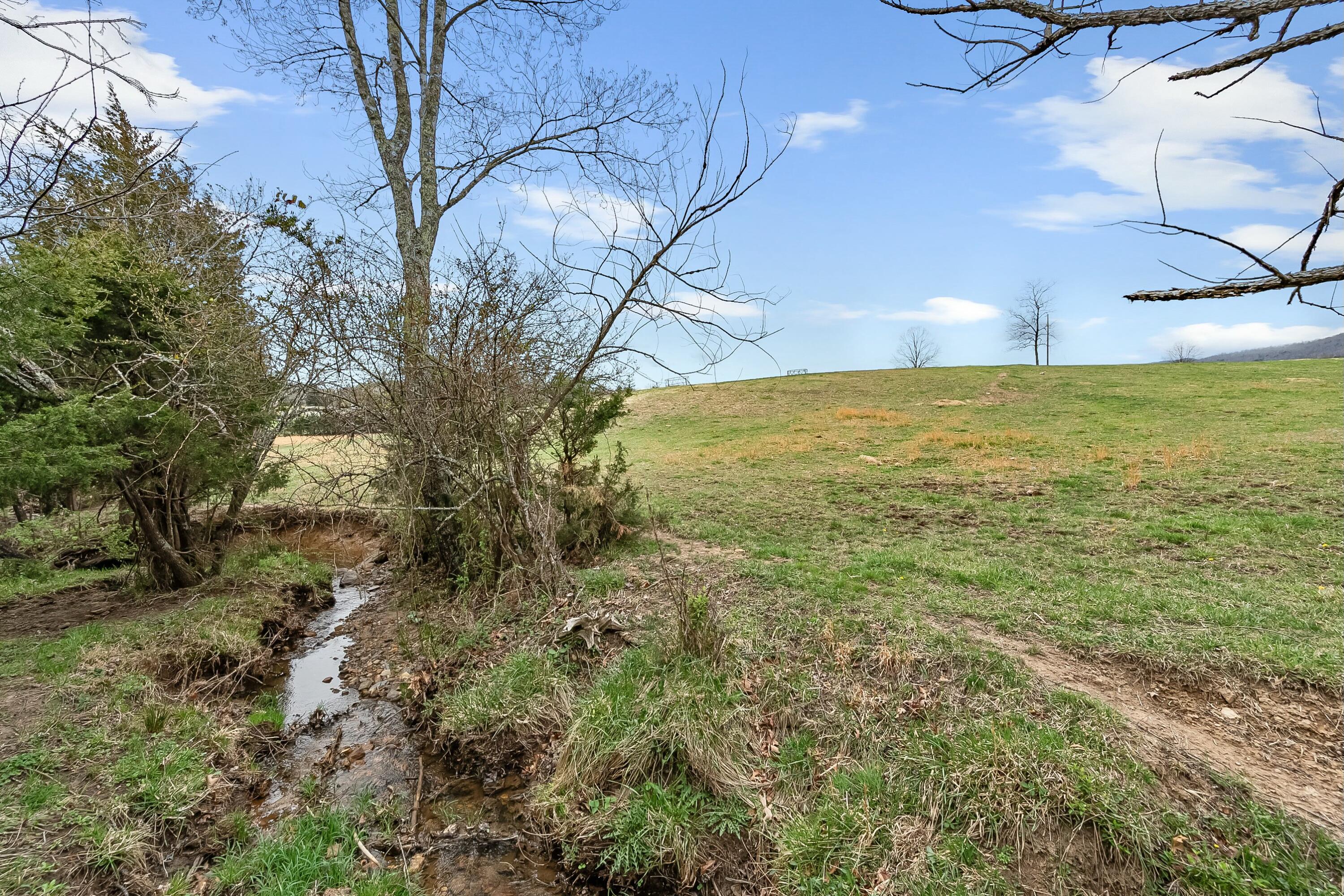 3588 Flatwoods Road Elliston, VA 24087 - Photo 76 of 119 tempImageyouwRI