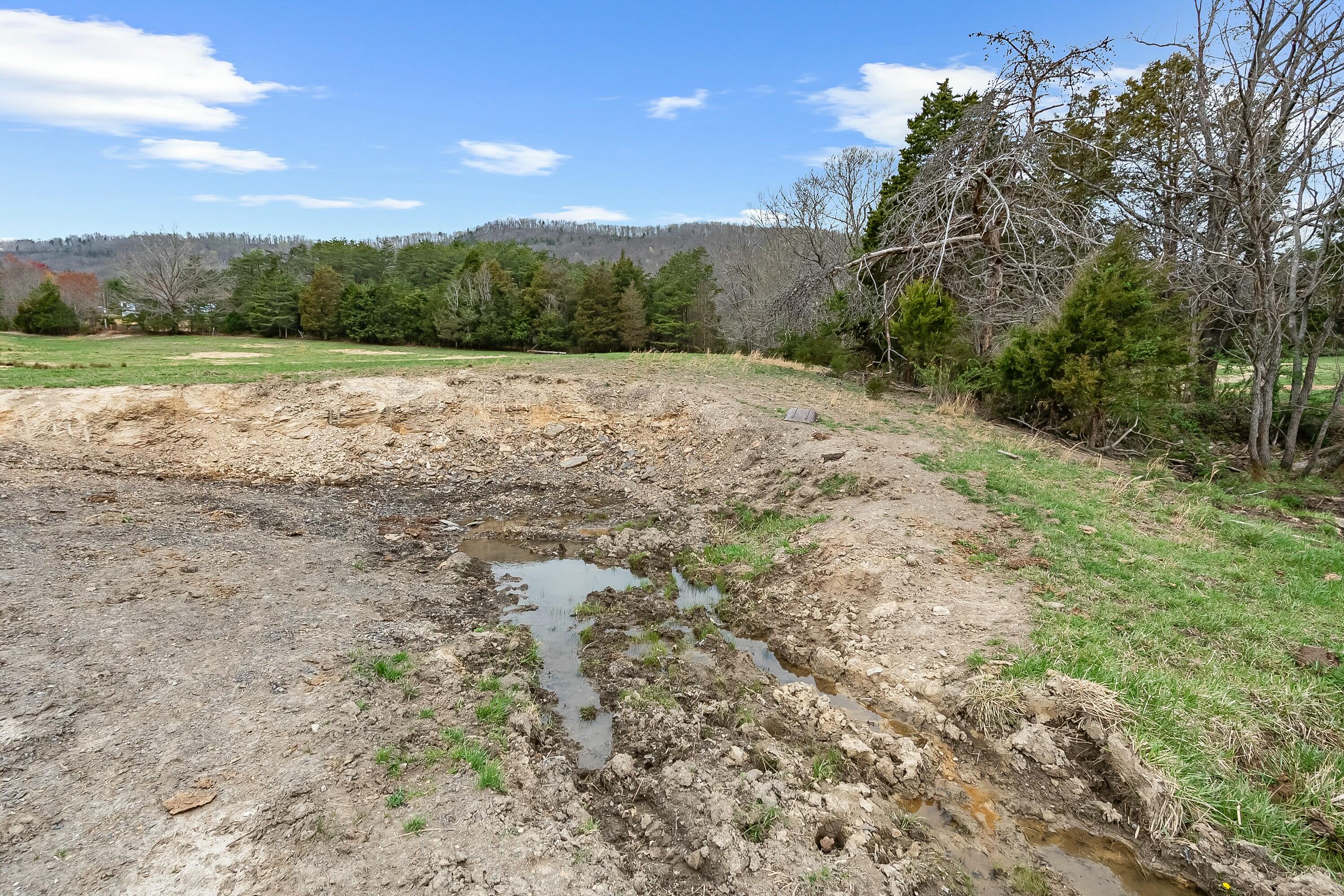 3588 Flatwoods Road Elliston, VA 24087 - Photo 78 of 119 tempImageYAZzTv