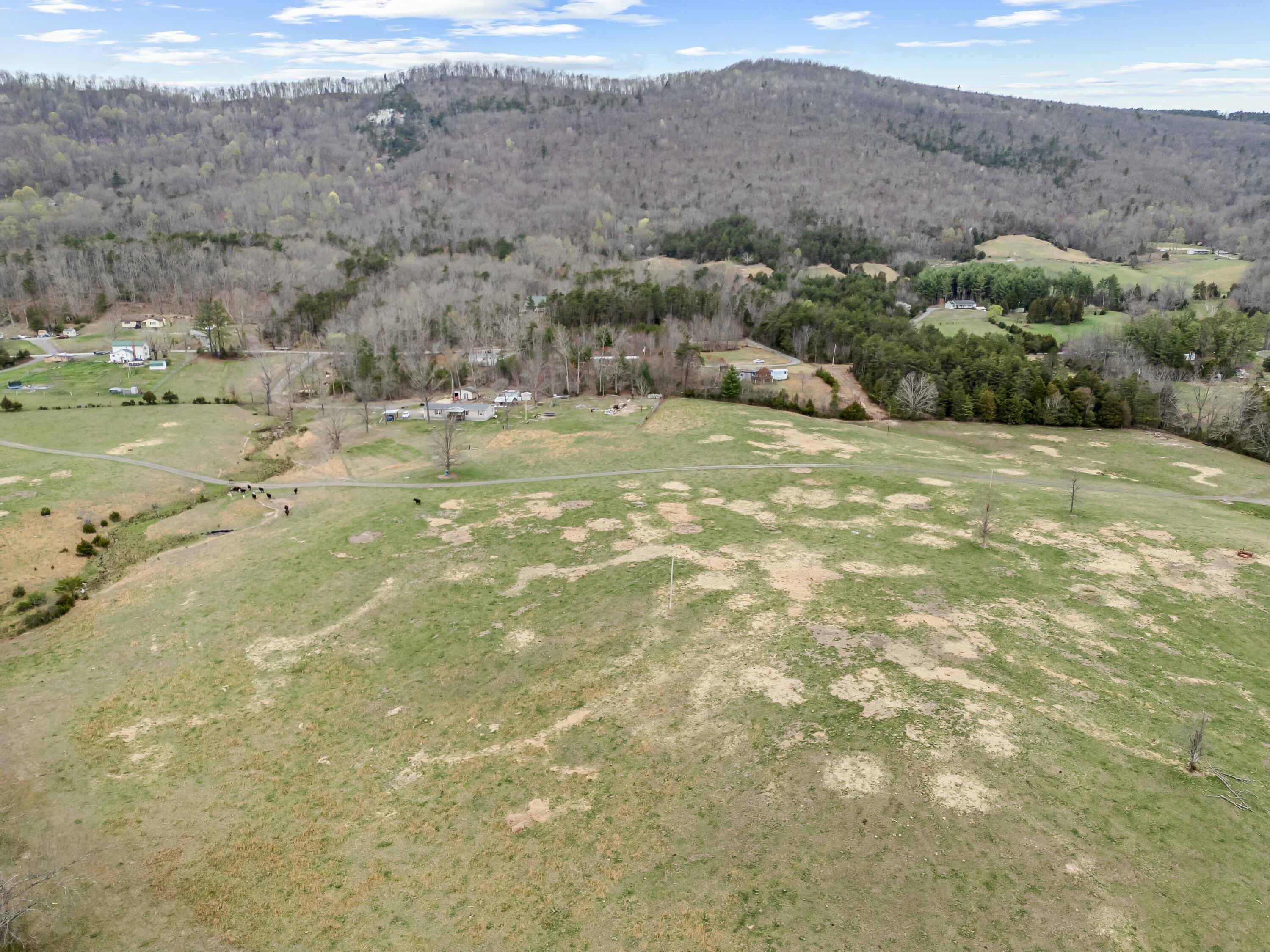 3588 Flatwoods Road Elliston, VA 24087 - Photo 8 of 119 a view of outdoor space and mountain view