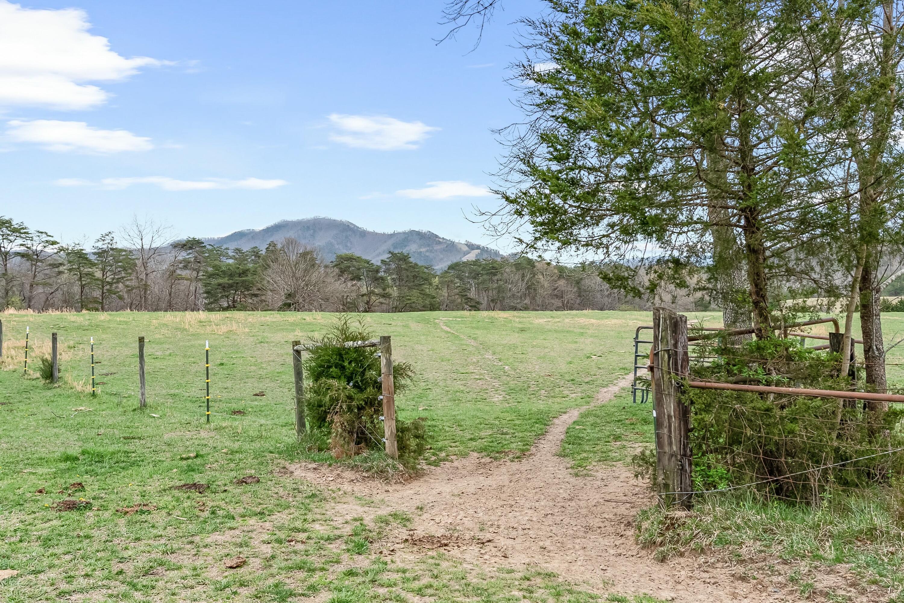 3588 Flatwoods Road Elliston, VA 24087 - Photo 90 of 119 tempImageALcpLr
