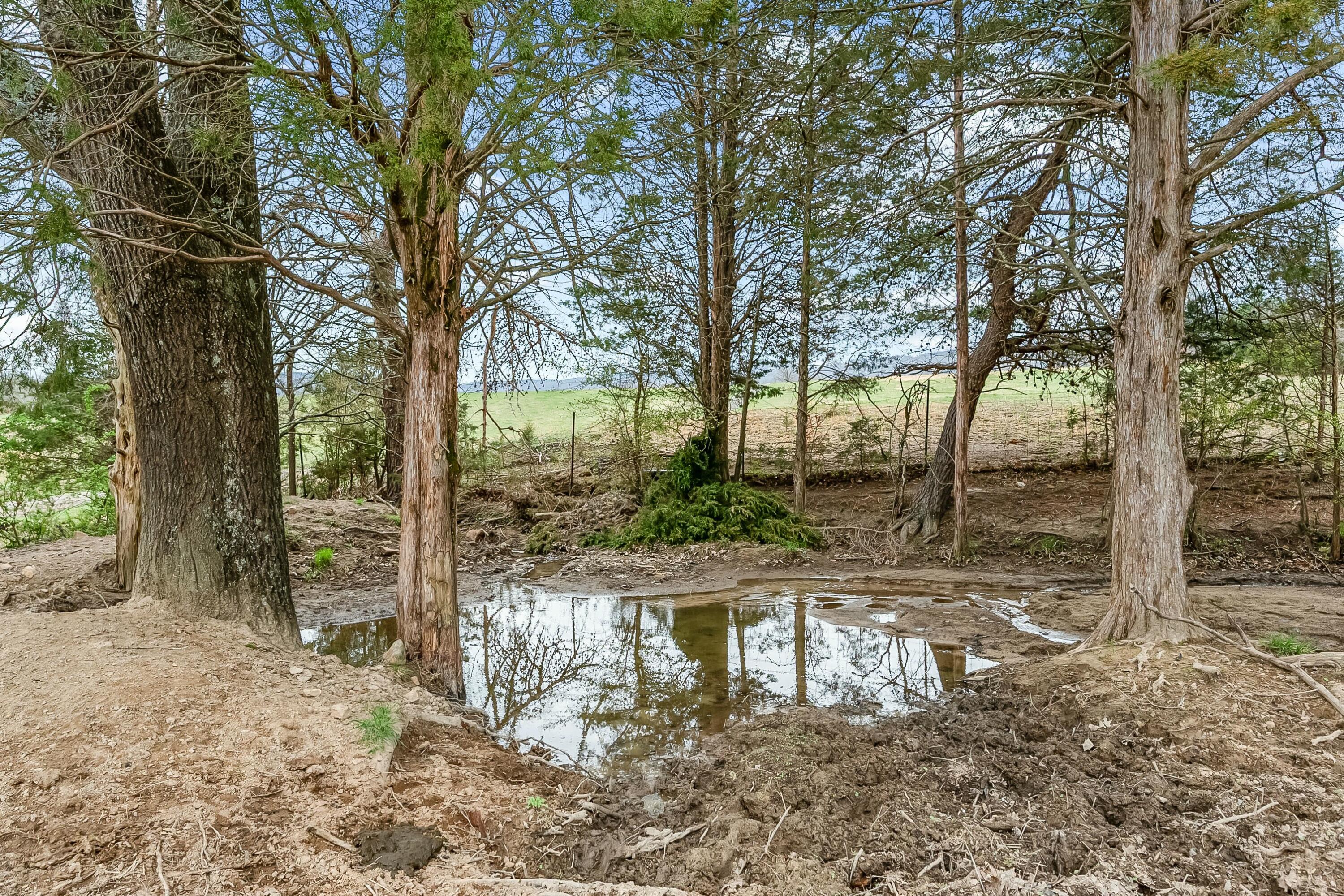 3588 Flatwoods Road Elliston, VA 24087 - Photo 91 of 119 tempImagexKIm62