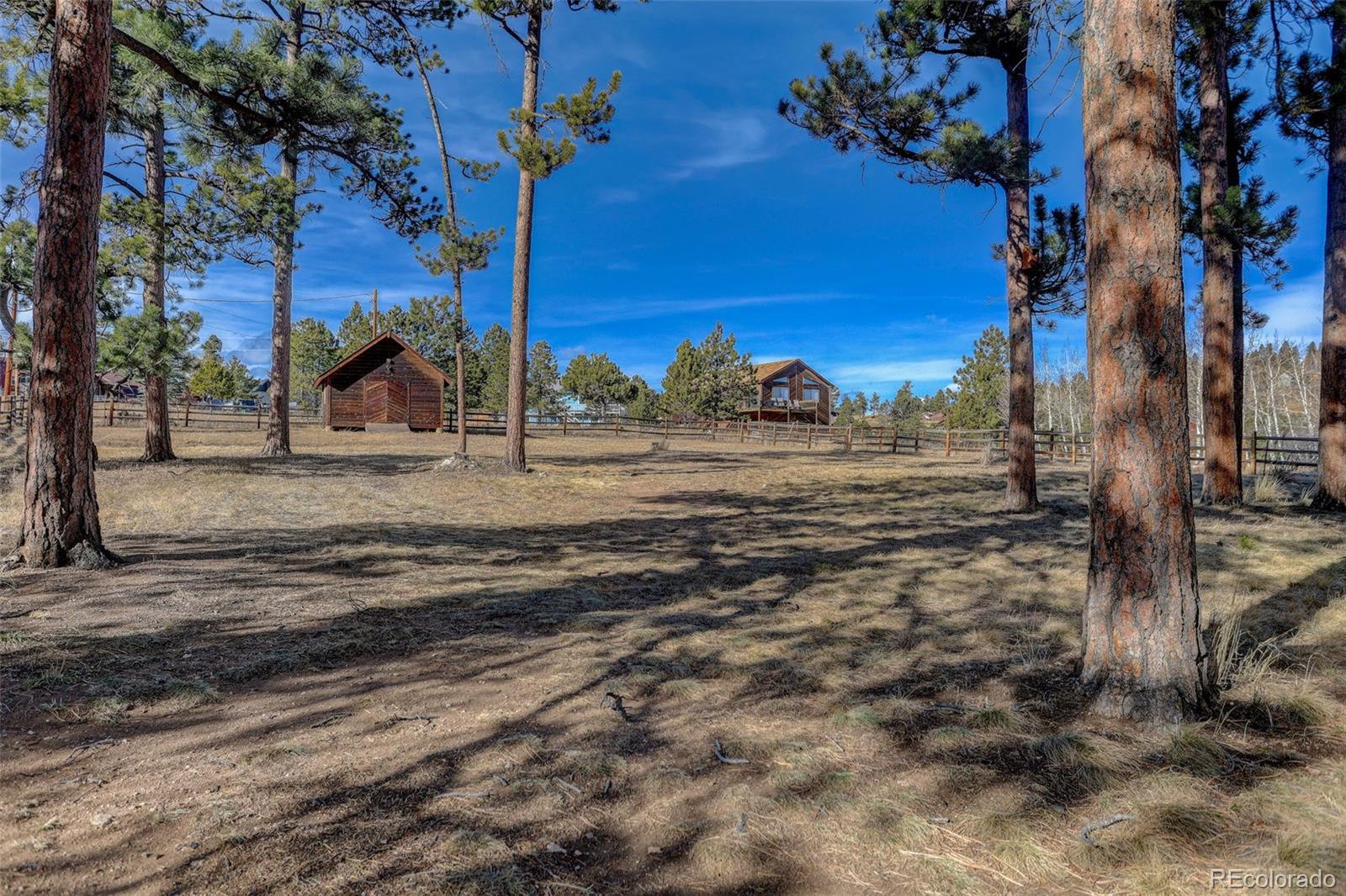 541 Beaver Trail Bailey, CO 80421 - Photo 28 of 34