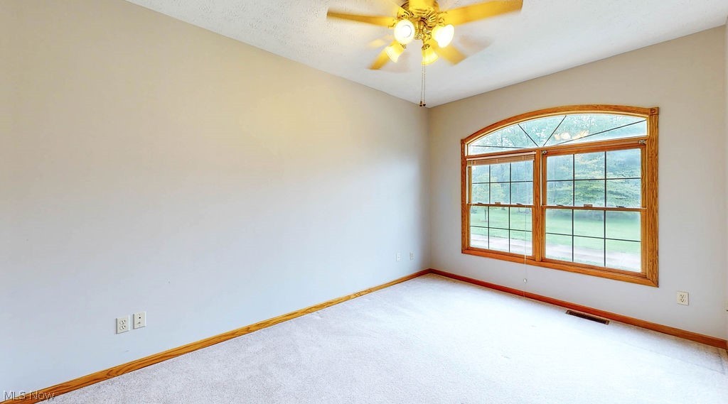 8225 Buffham Road Lodi, OH 44254 - Photo 19 of 35 Gallery Image 19