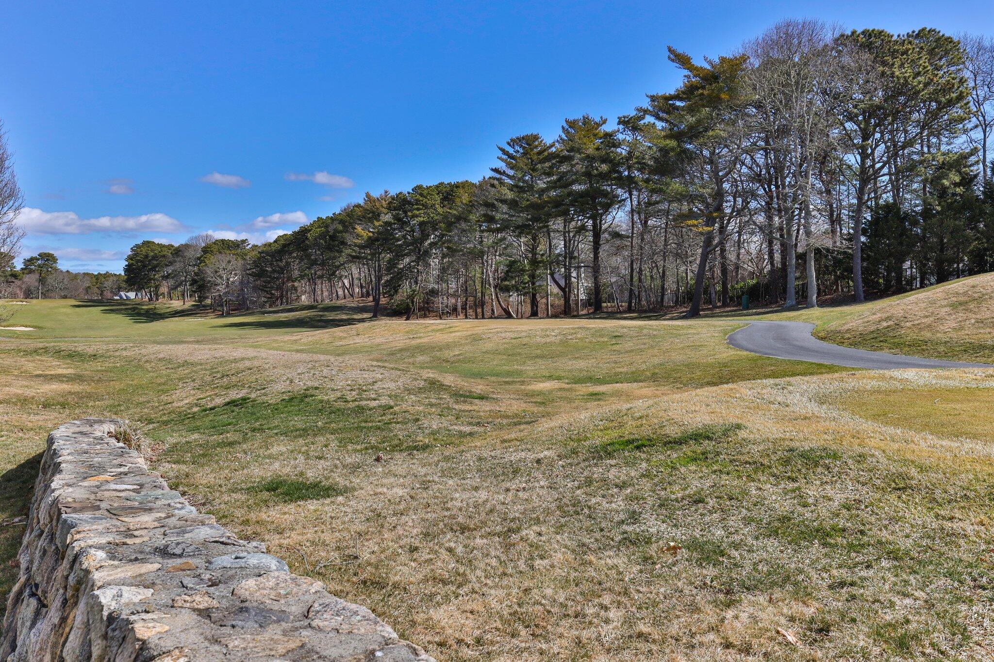 16 Quinns Way Mashpee, MA 02649 - Photo 38 of 59 a view of a yard with an ocean view
