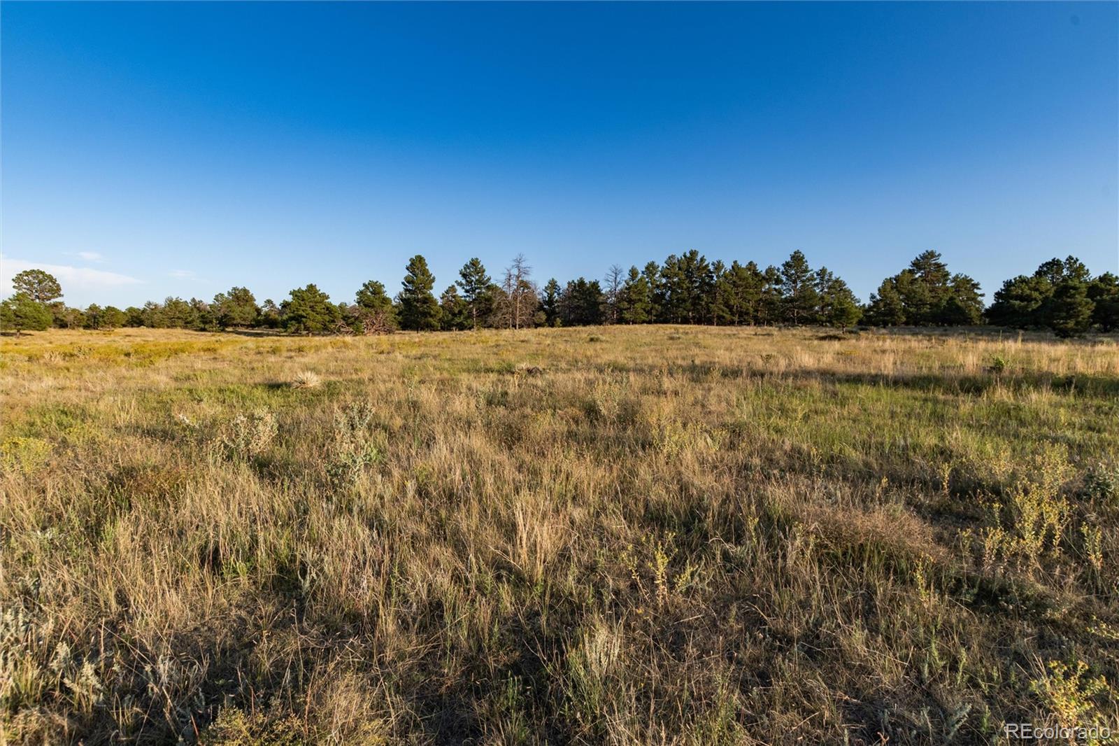 122 North County Road Ramah, CO 80832 - Photo 4 of 27