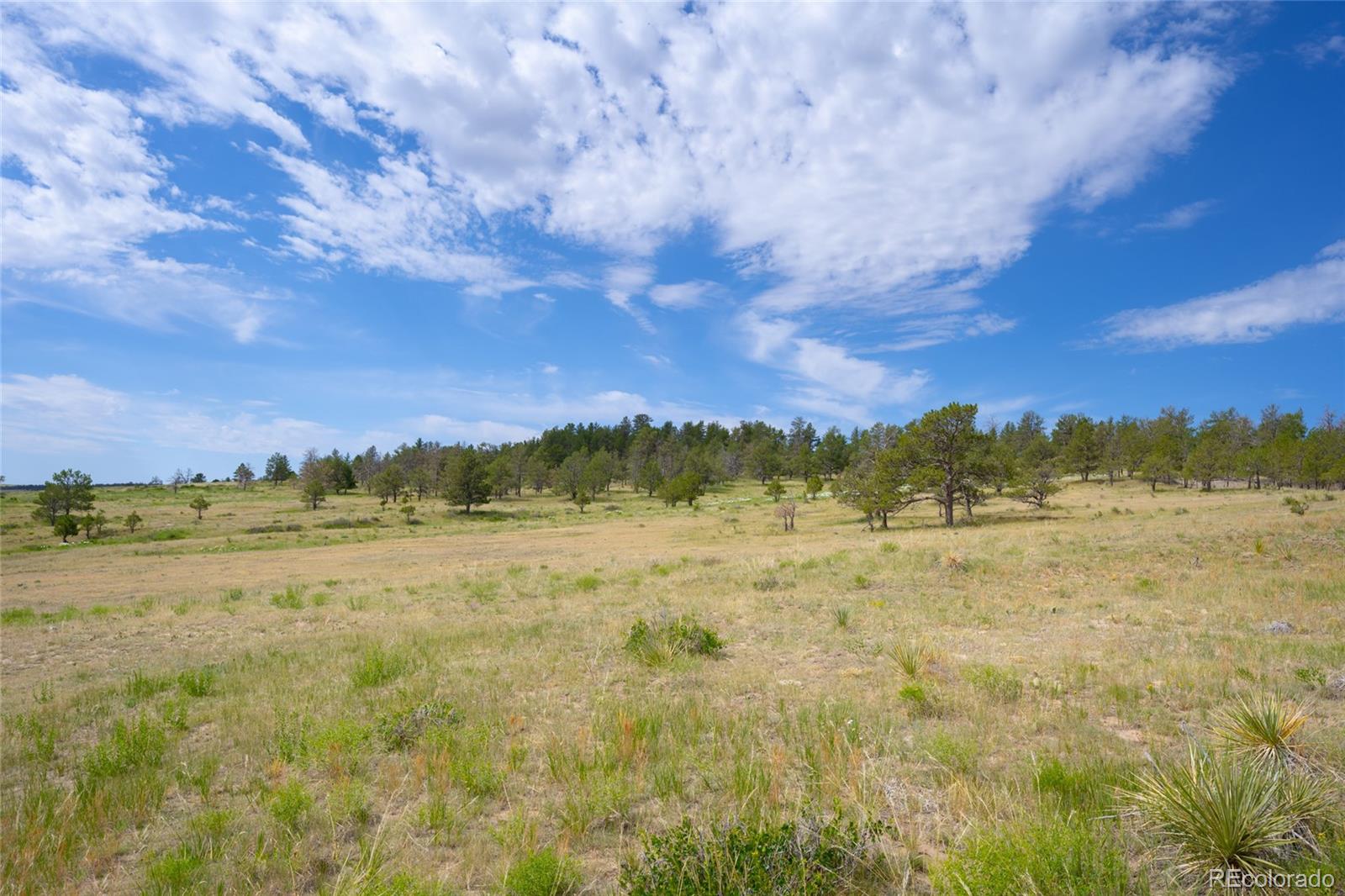 122 North County Road Ramah, CO 80832 - Photo 5 of 27