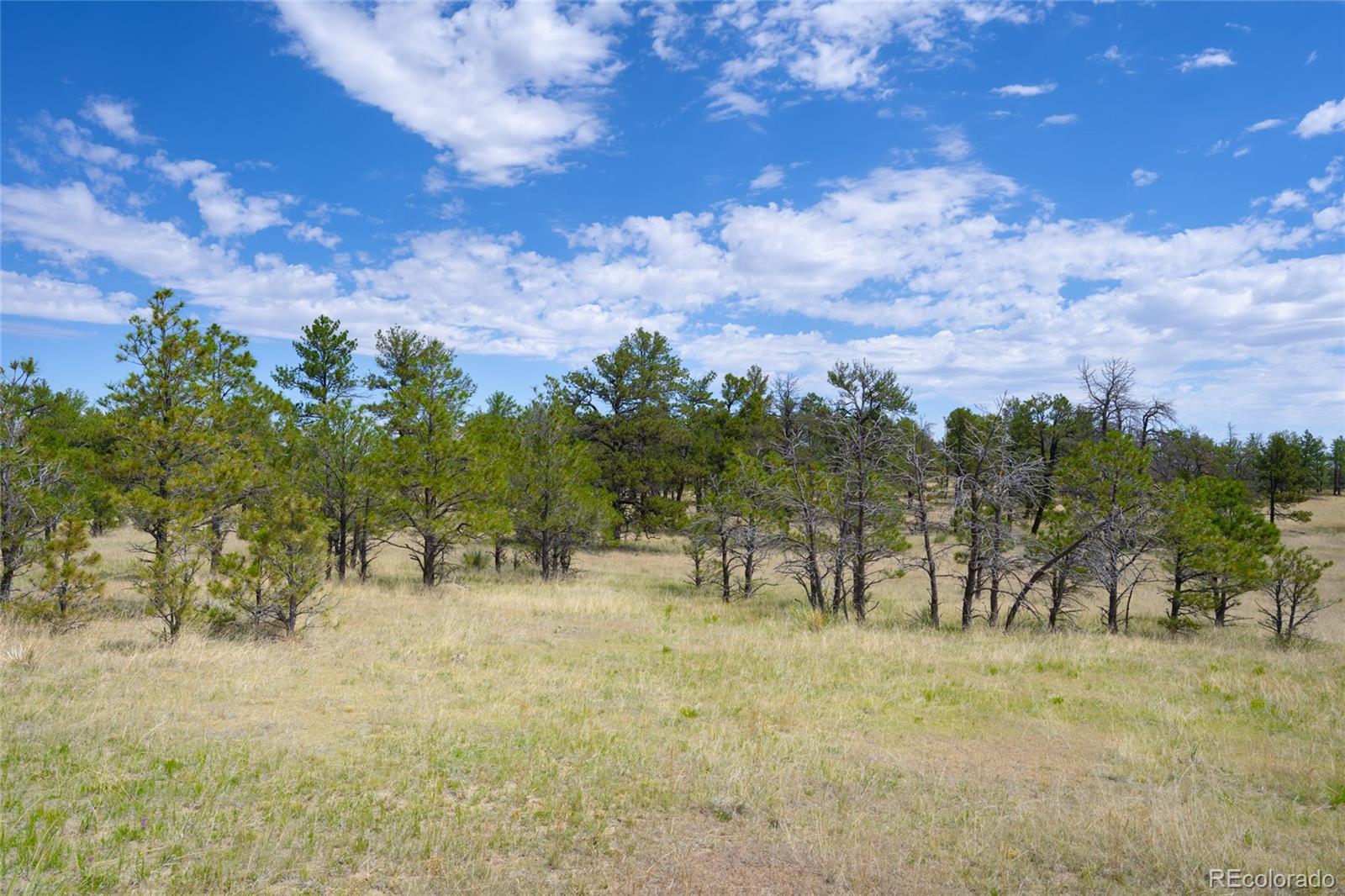 122 North County Road Ramah, CO 80832 - Photo 7 of 27