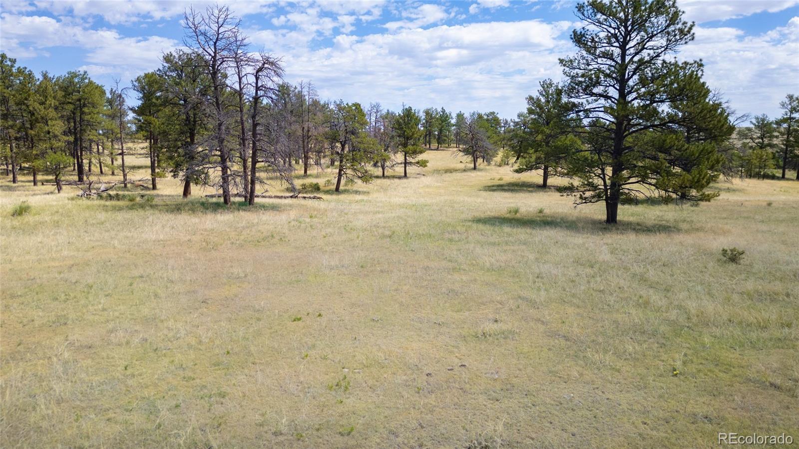 122 North County Road Ramah, CO 80832 - Photo 8 of 27