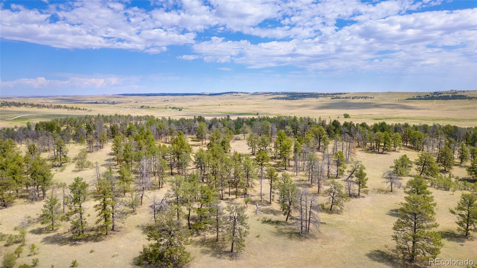 122 North County Road Ramah, CO 80832 - Photo 9 of 27