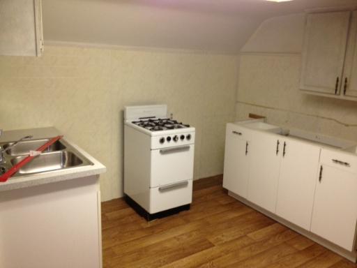 2141 West Rice Street Chicago, IL 60622 - Photo 5 of 8