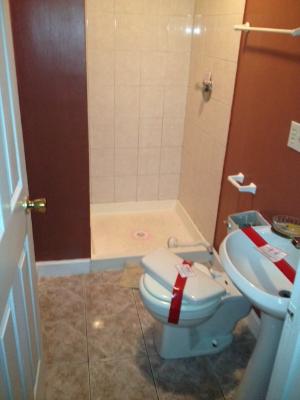 2141 West Rice Street Chicago, IL 60622 - Photo 7 of 8