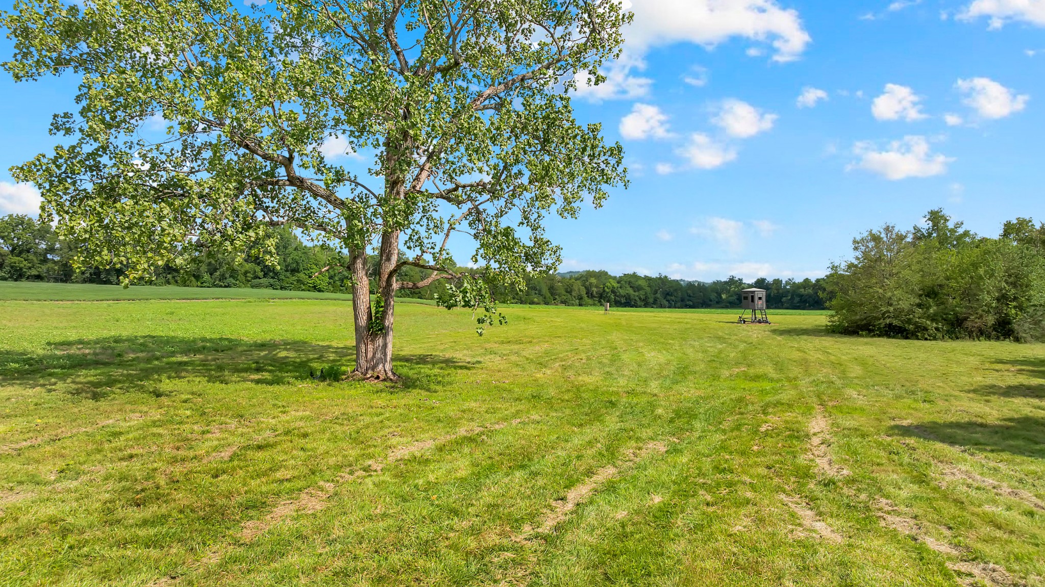 0 South Commerce Road Watertown, TN 37184 - Photo 4 of 37 Gallery Image 4