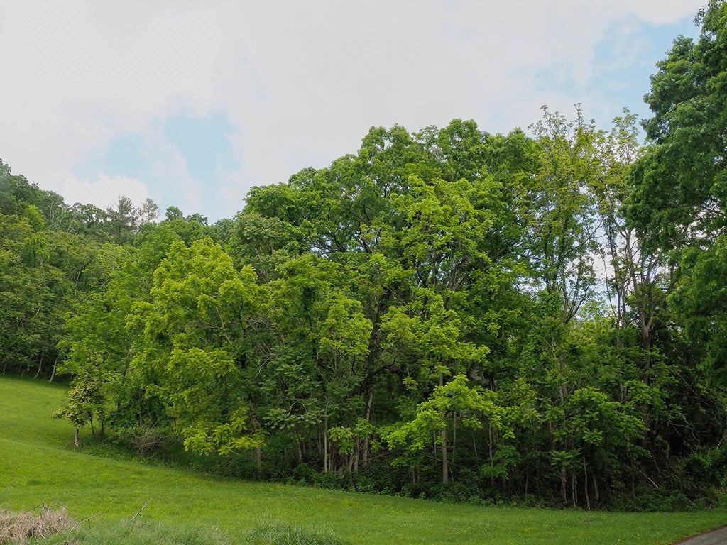 476 Stoots Mountain Road, Unit 26 27 Austinville, VA 24312 - Photo 5 of 9 Gallery Image 5