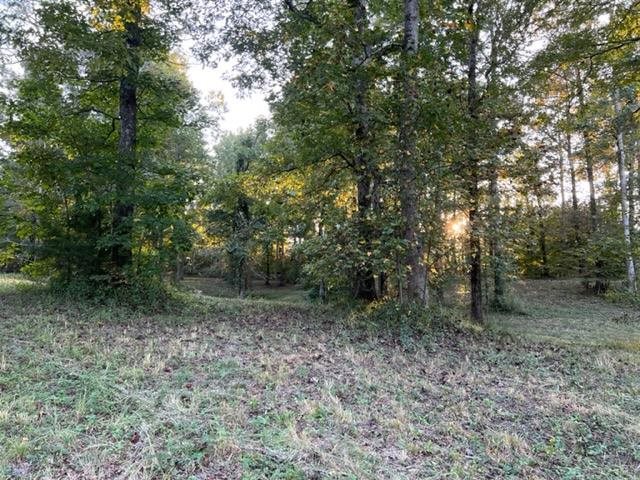 0 Rodeo Way Savannah, TN 38372 - Photo 14 of 22 Gallery Image 14