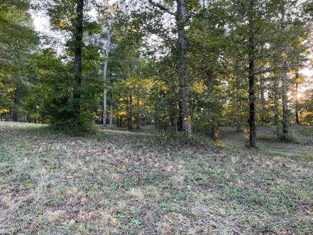 0 Rodeo Way Savannah, TN 38372 - Photo 8 of 22 Gallery Image 8