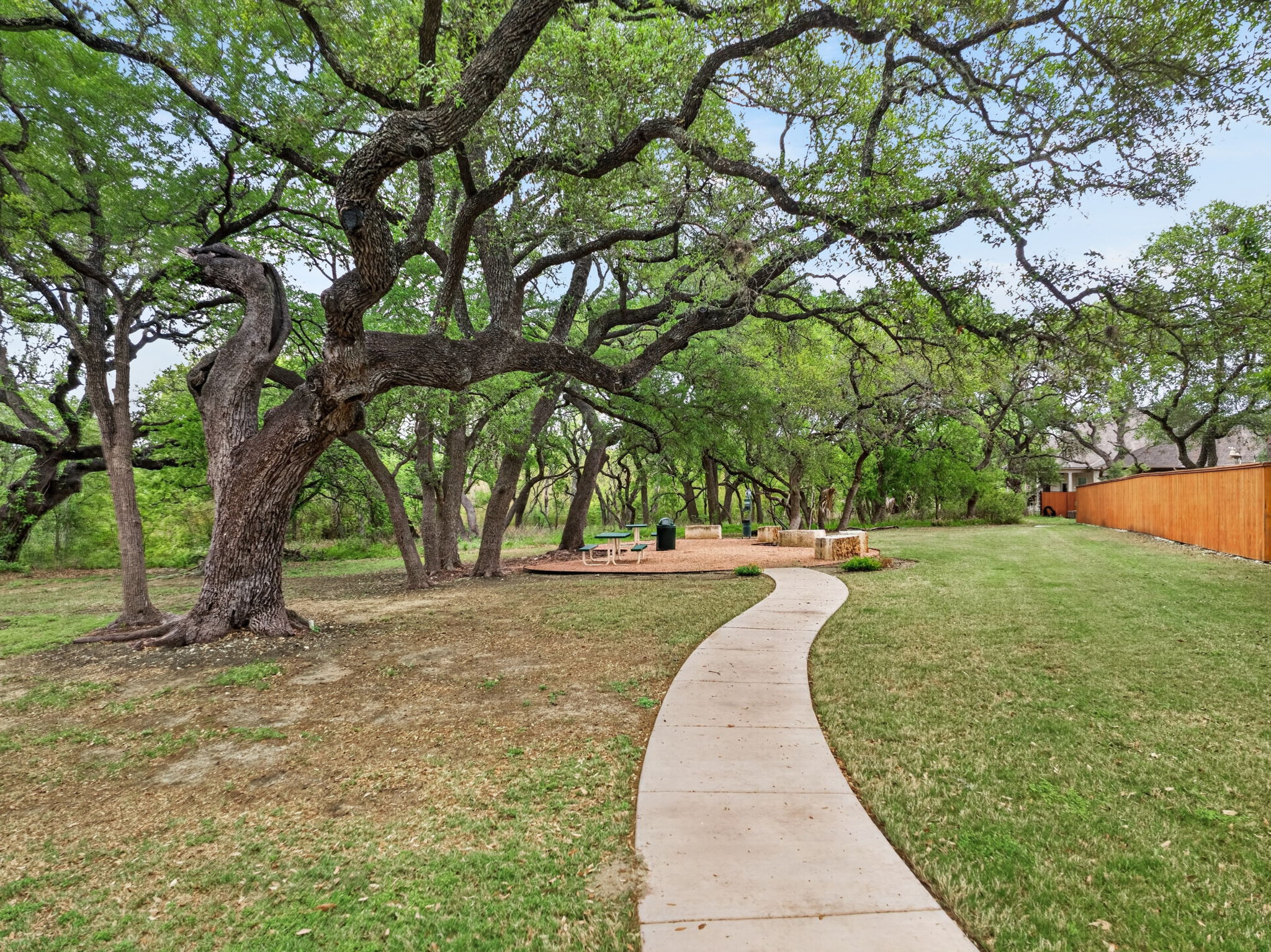 12613 Twisted Root Drive Manchaca, TX 78652 - Photo 30 of 32 a view of a yard with plants and trees
