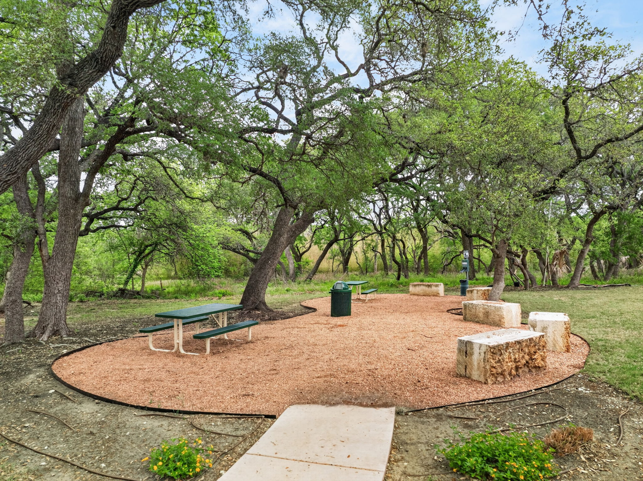 12613 Twisted Root Drive Manchaca, TX 78652 - Photo 31 of 32 a view of a backyard with trees