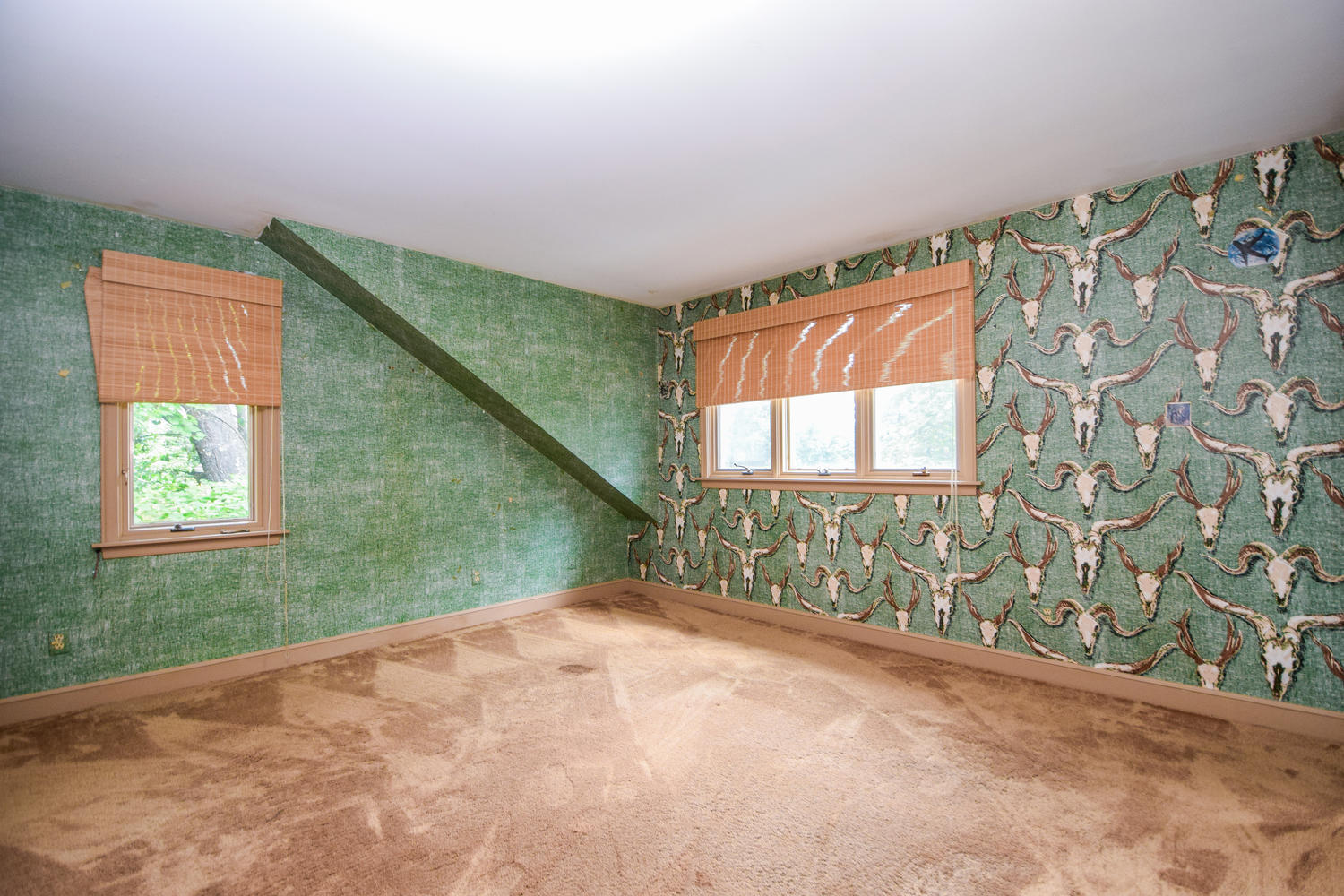 5920 Saddleridge Road Roanoke, VA 24018 - Photo 23 of 40 5920 Saddleridge Rd Cave-large-023-006-P
