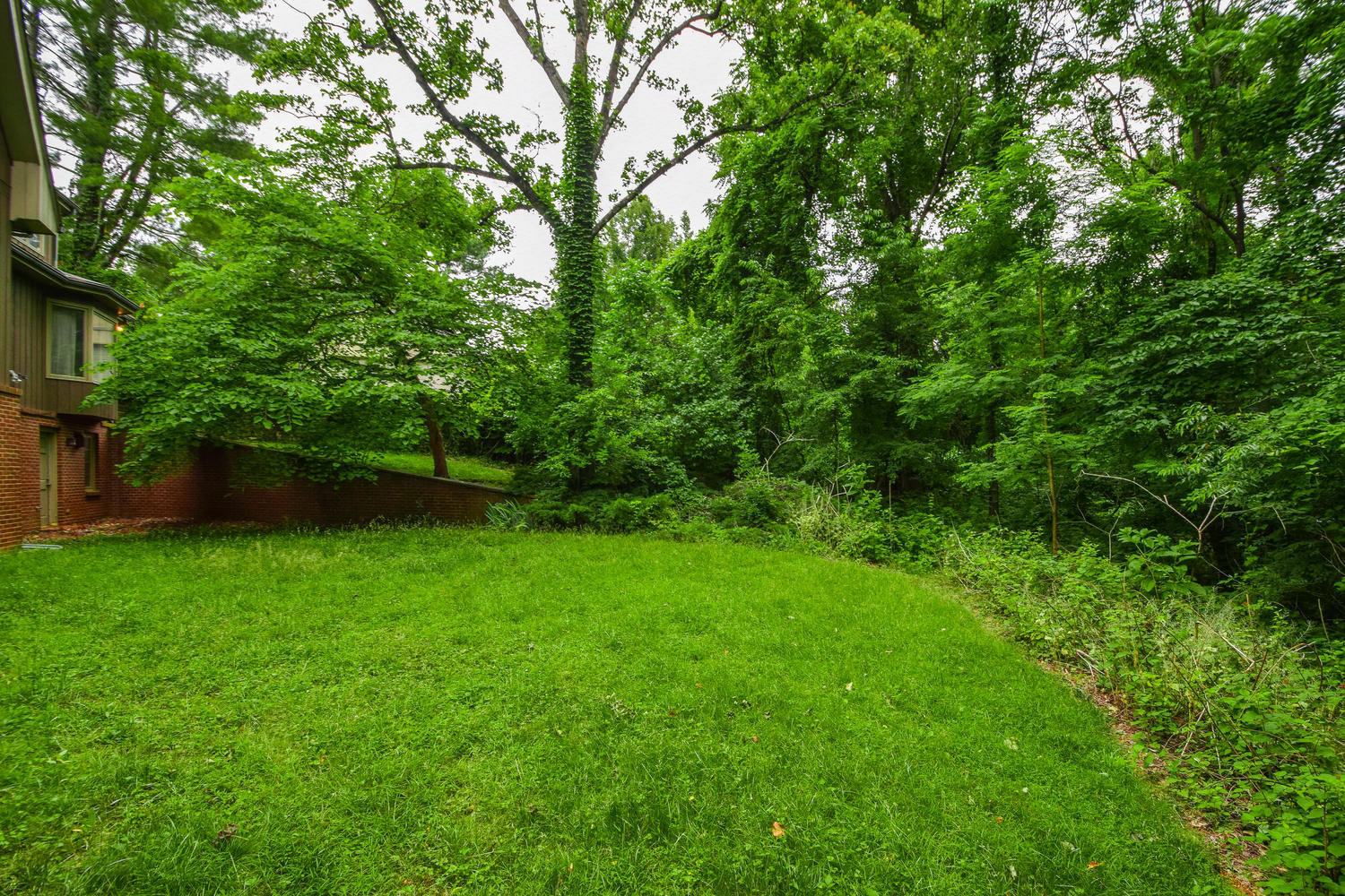 5920 Saddleridge Road Roanoke, VA 24018 - Photo 38 of 40 5920 Saddleridge Rd Cave-large-038-036-P