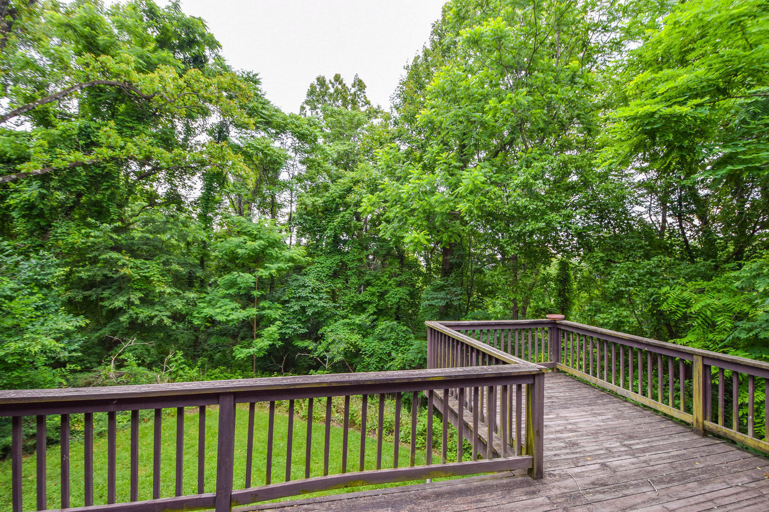 5920 Saddleridge Road Roanoke, VA 24018 - Photo 39 of 40 5920 Saddleridge Rd Cave-large-039-034-P