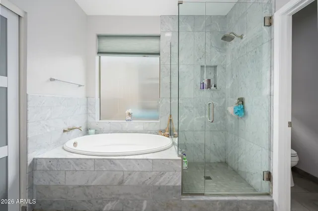 a bathroom with a shower and a toilet