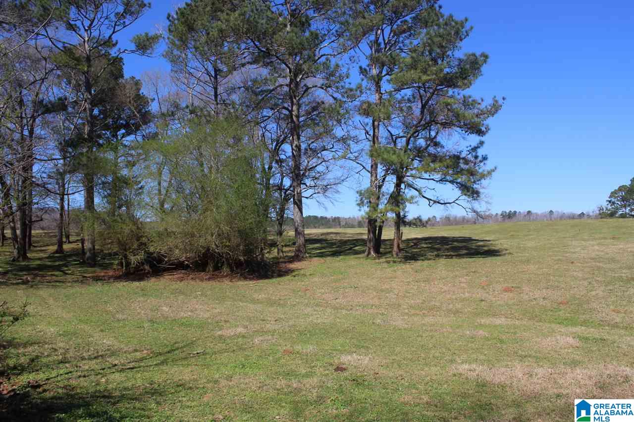 0 Lewis Road Columbiana, AL 35051 - Photo 3 of 10